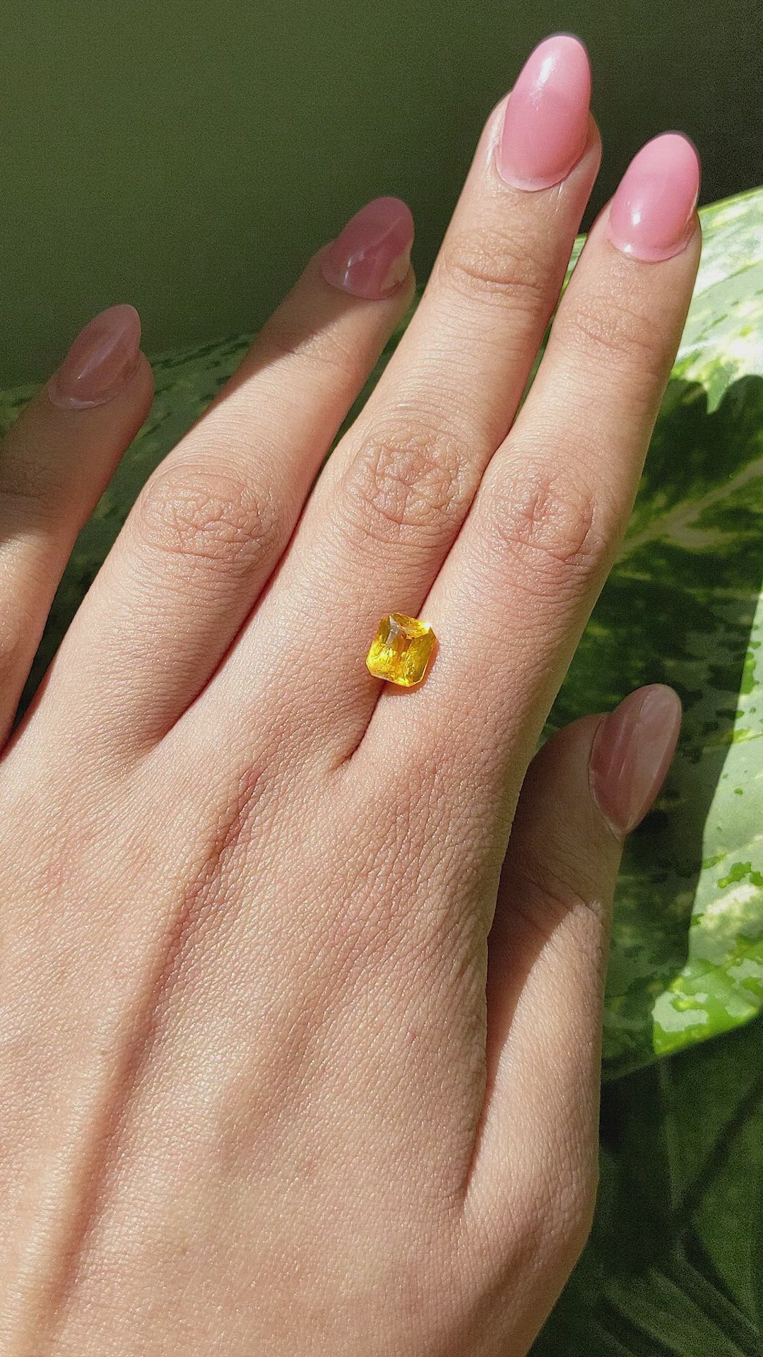 2.41 Ct. Yellow Sapphire from Ceylon (Sri Lanka) Size Video