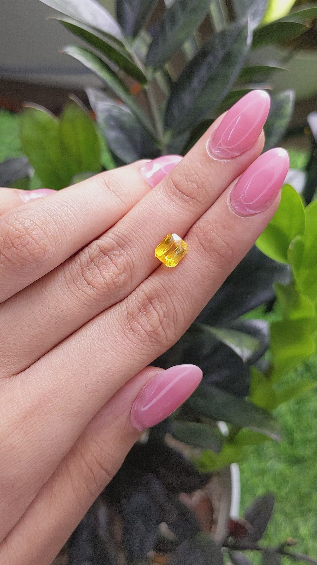 2.41 Ct. Yellow Sapphire from Ceylon (Sri Lanka) Size Video