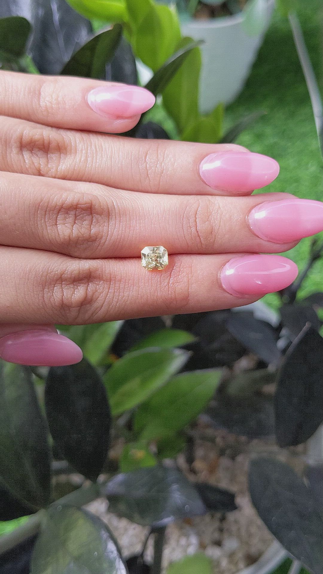 1.58 Ct. Yellow Sapphire from Ceylon (Sri Lanka) Size Video