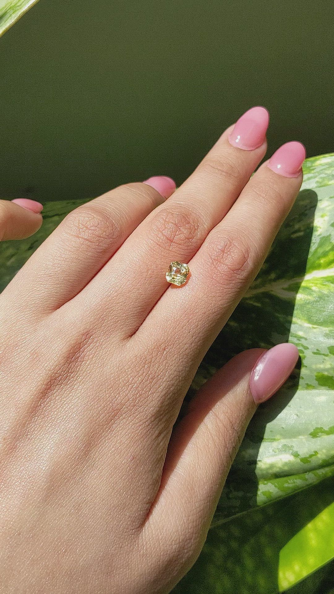 1.58 Ct. Yellow Sapphire from Ceylon (Sri Lanka) Size Video