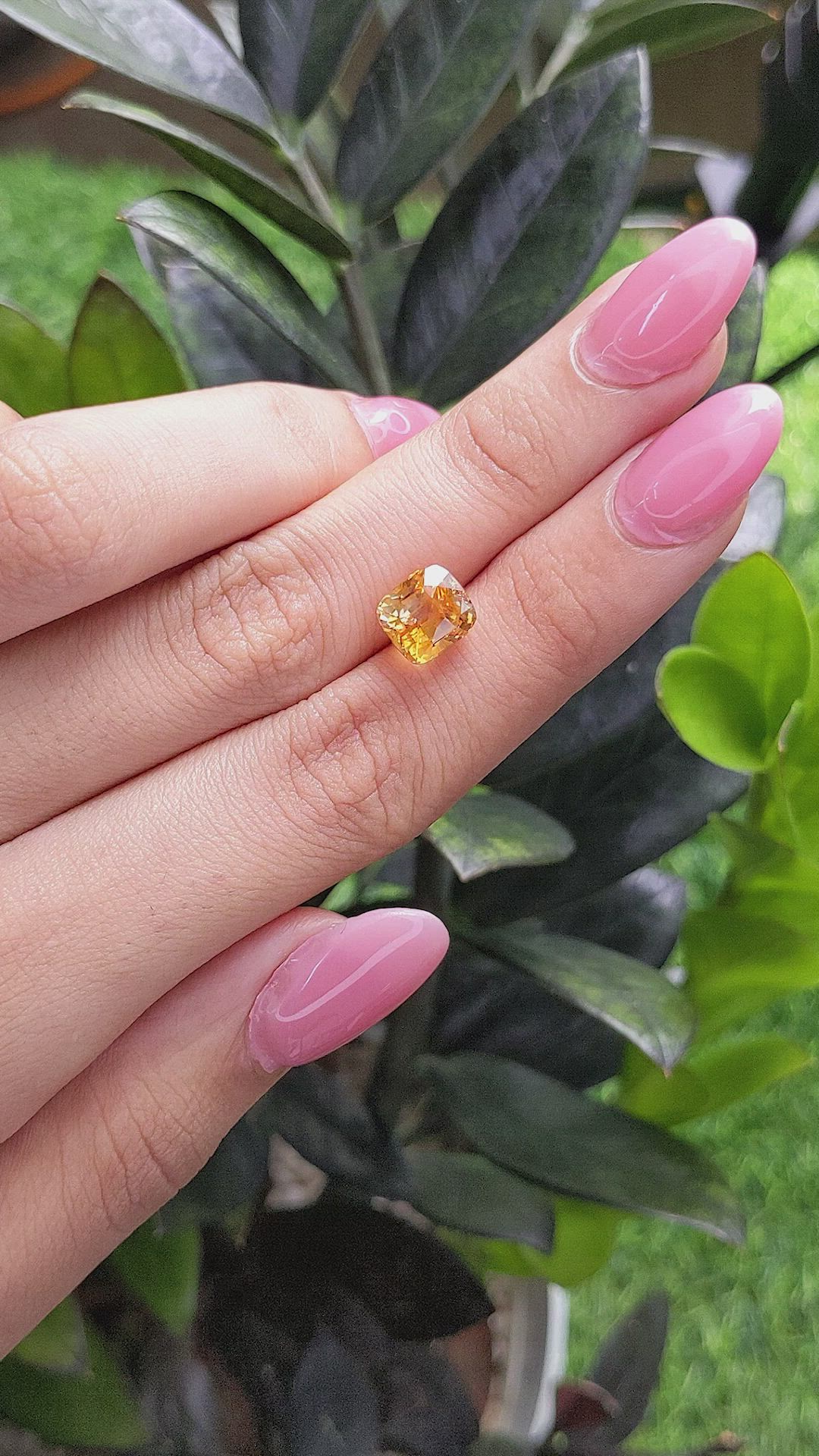 4.58 Ct. Bi Color Sapphire from Ceylon (Sri Lanka) Size Video