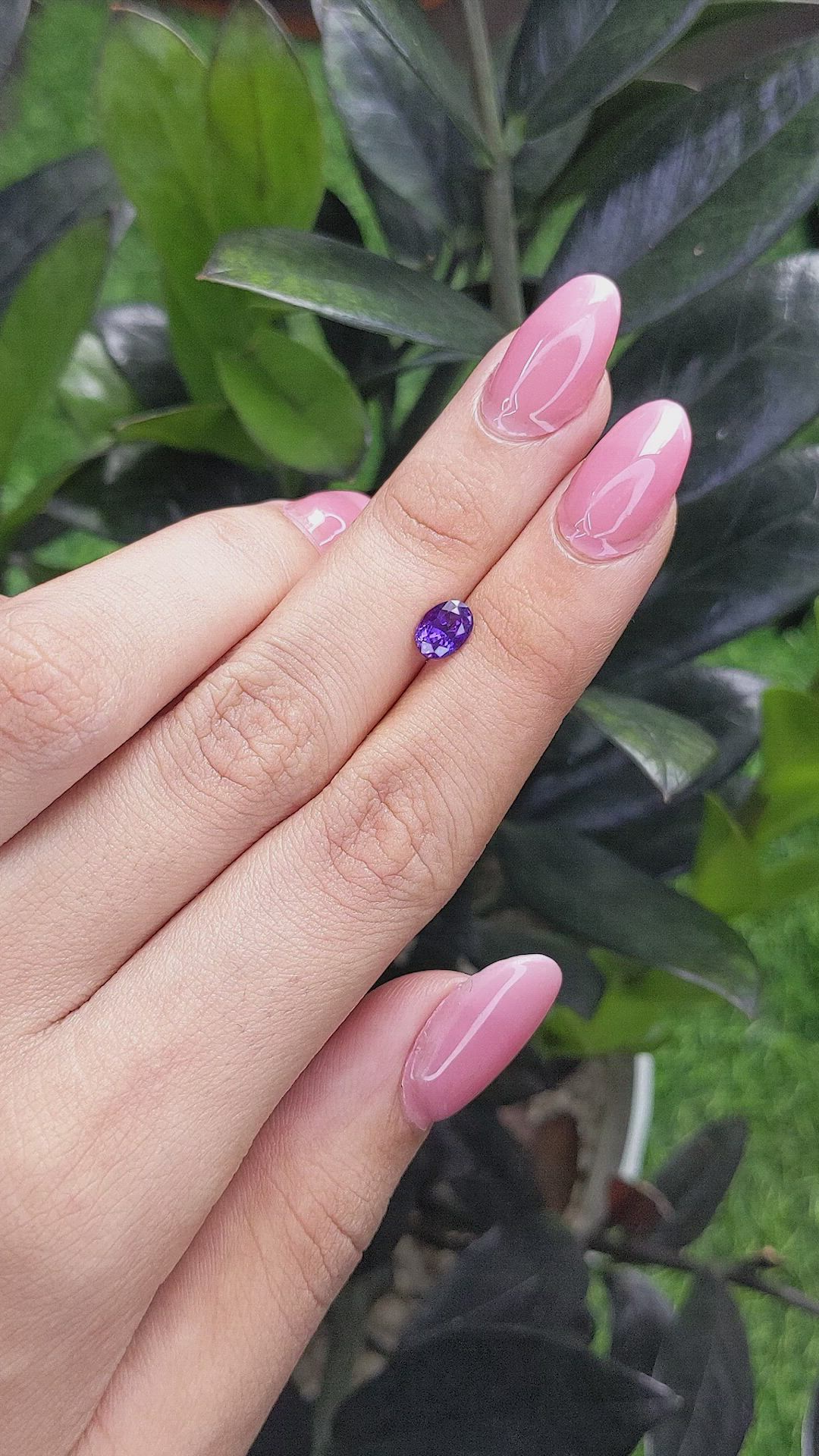 1.16 Ct. Purple Sapphire from Ceylon (Sri Lanka) Size Video
