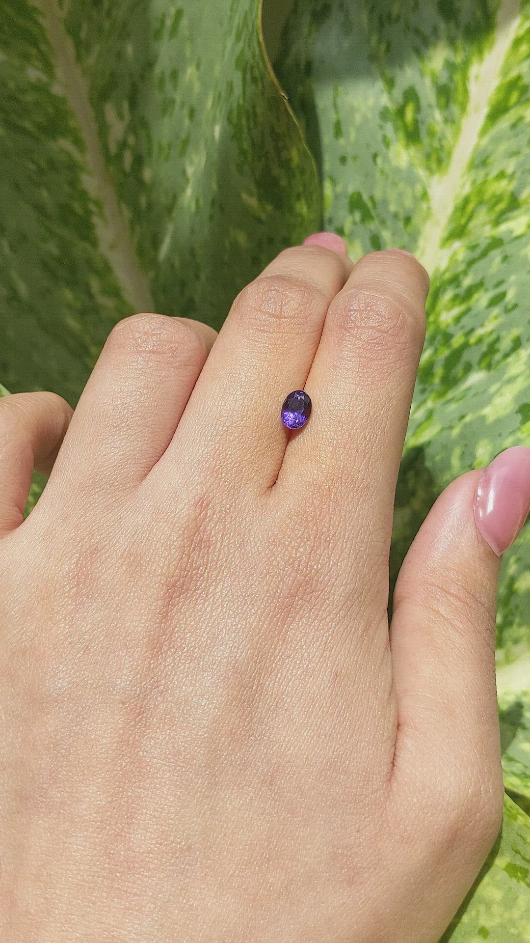 1.16 Ct. Purple Sapphire from Ceylon (Sri Lanka) Size Video