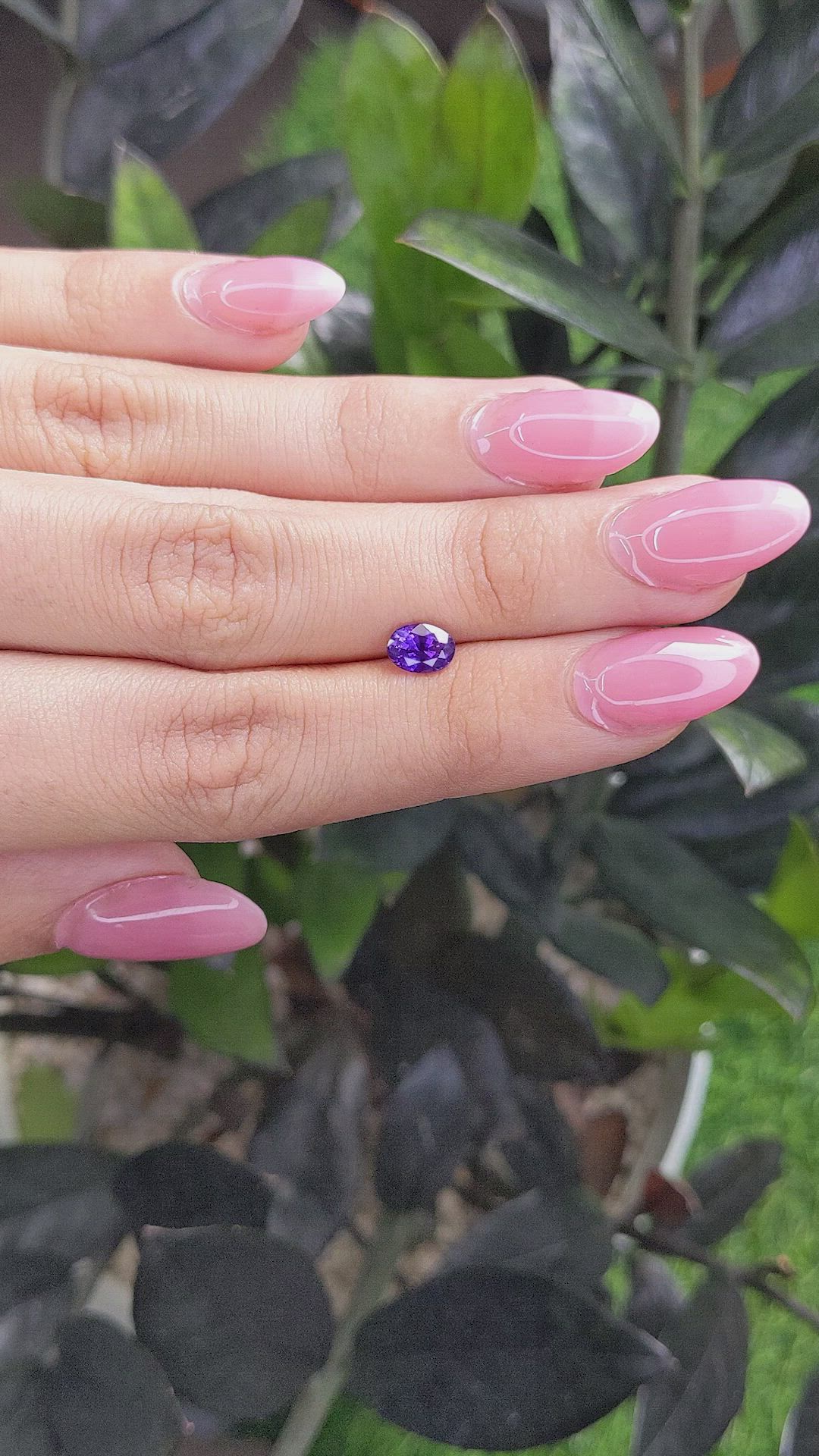 1.16 Ct. Purple Sapphire from Ceylon (Sri Lanka) Size Video