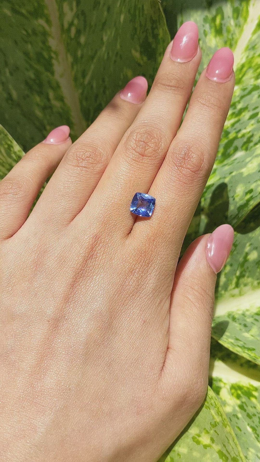 2.64 Ct. Blue Sapphire from Ceylon (Sri Lanka) Size Video