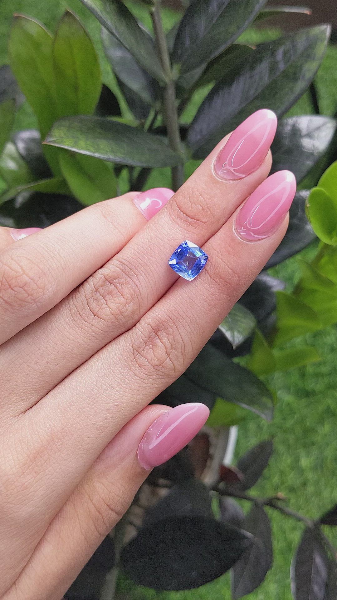 2.64 Ct. Blue Sapphire from Ceylon (Sri Lanka) Size Video