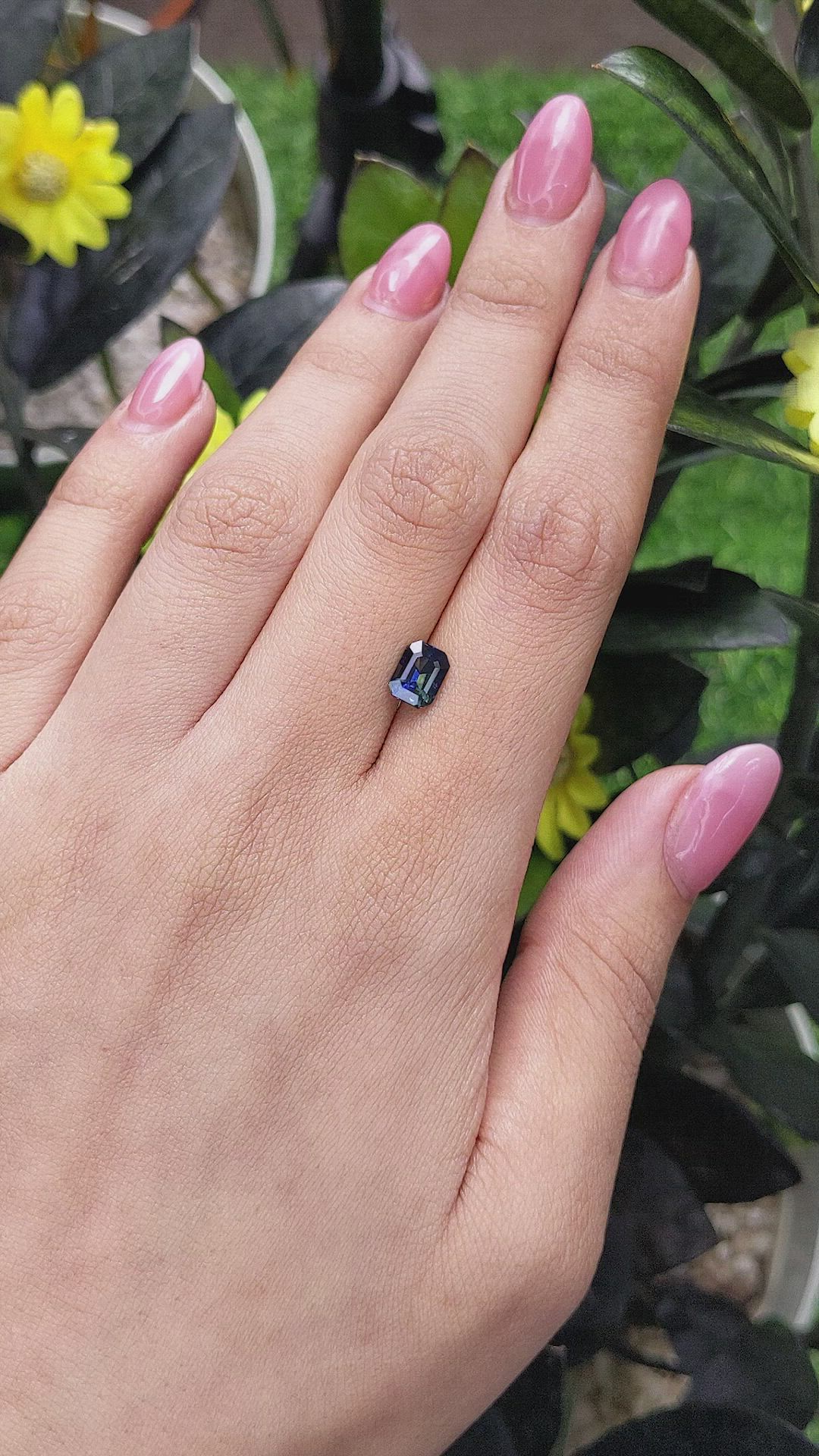 1.55 Ct. Bi Color Sapphire from Madagascar Size Video