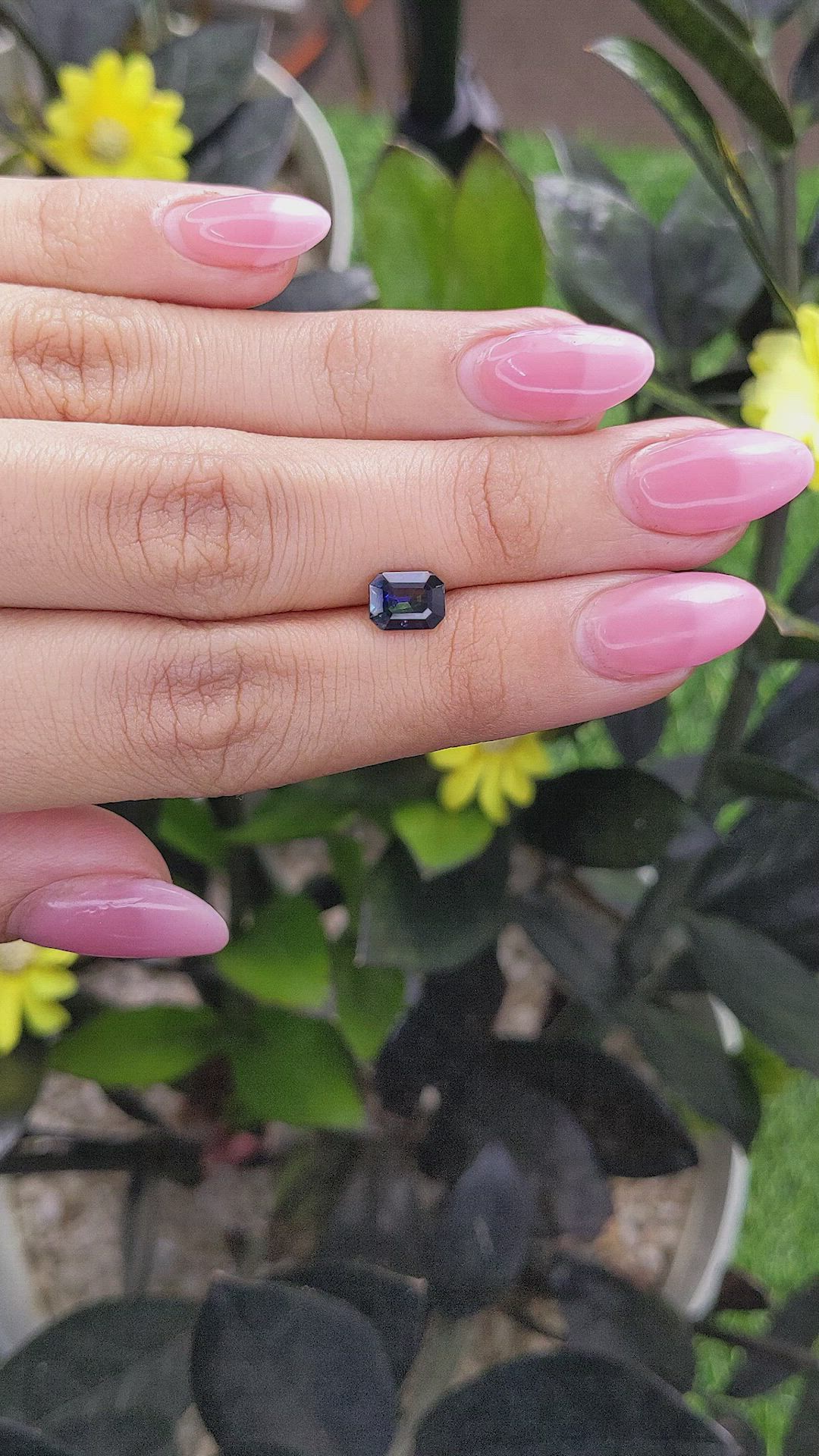 1.55 Ct. Bi Color Sapphire from Madagascar Size Video