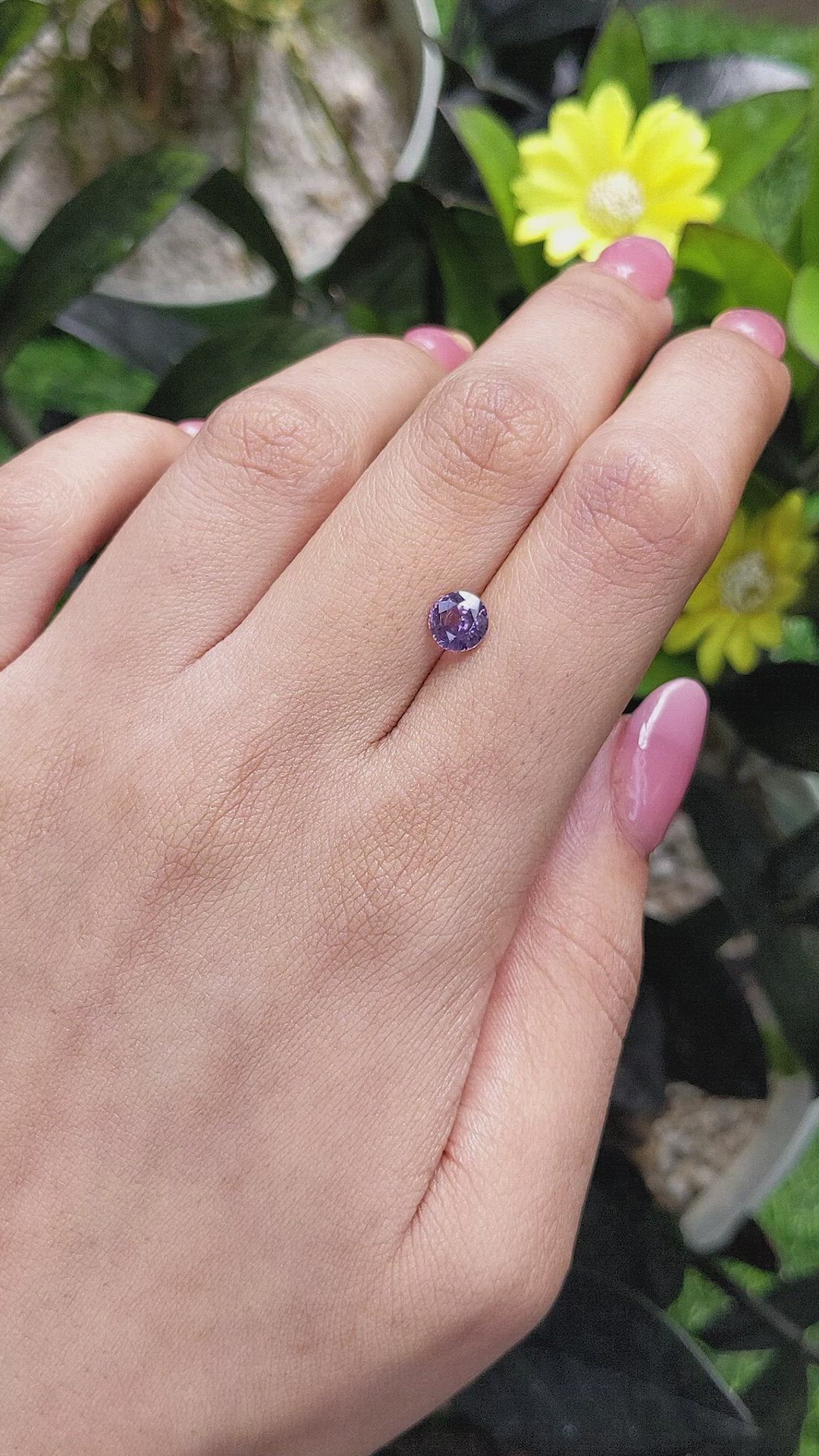 1.13 Ct. Purple Sapphire from Ceylon (Sri Lanka) Size Video