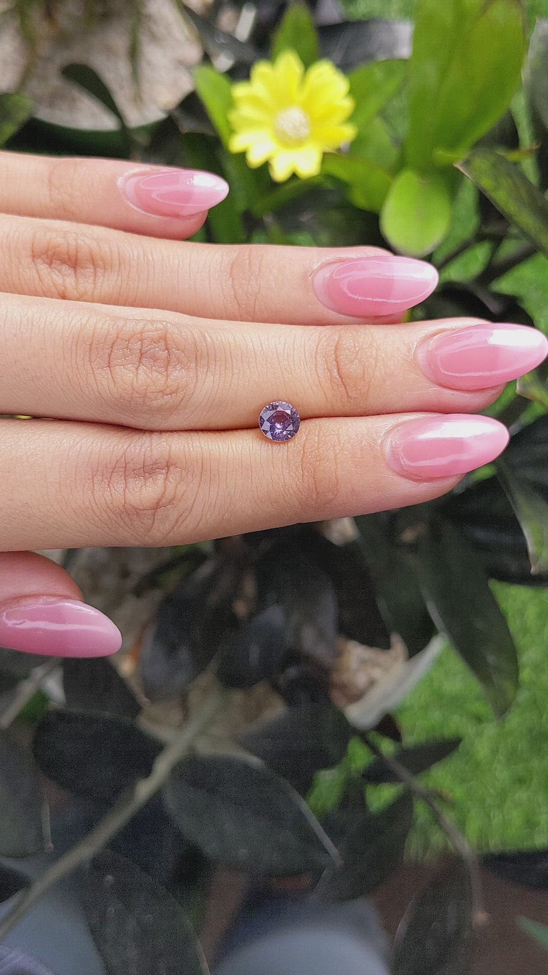 1.13 Ct. Purple Sapphire from Ceylon (Sri Lanka) Size Video