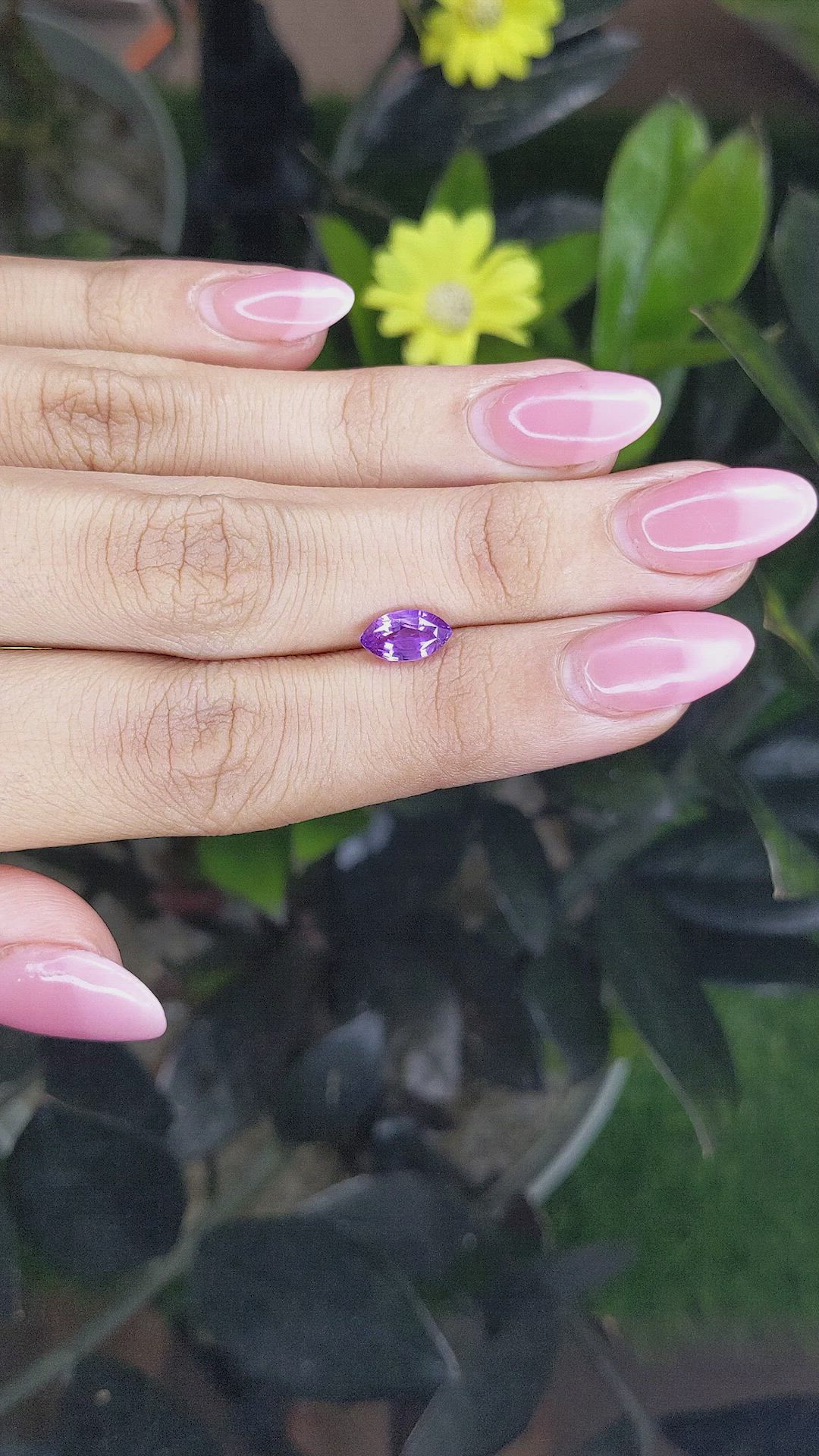 1.51 Ct. Purple Sapphire from Ceylon (Sri Lanka) Size Video