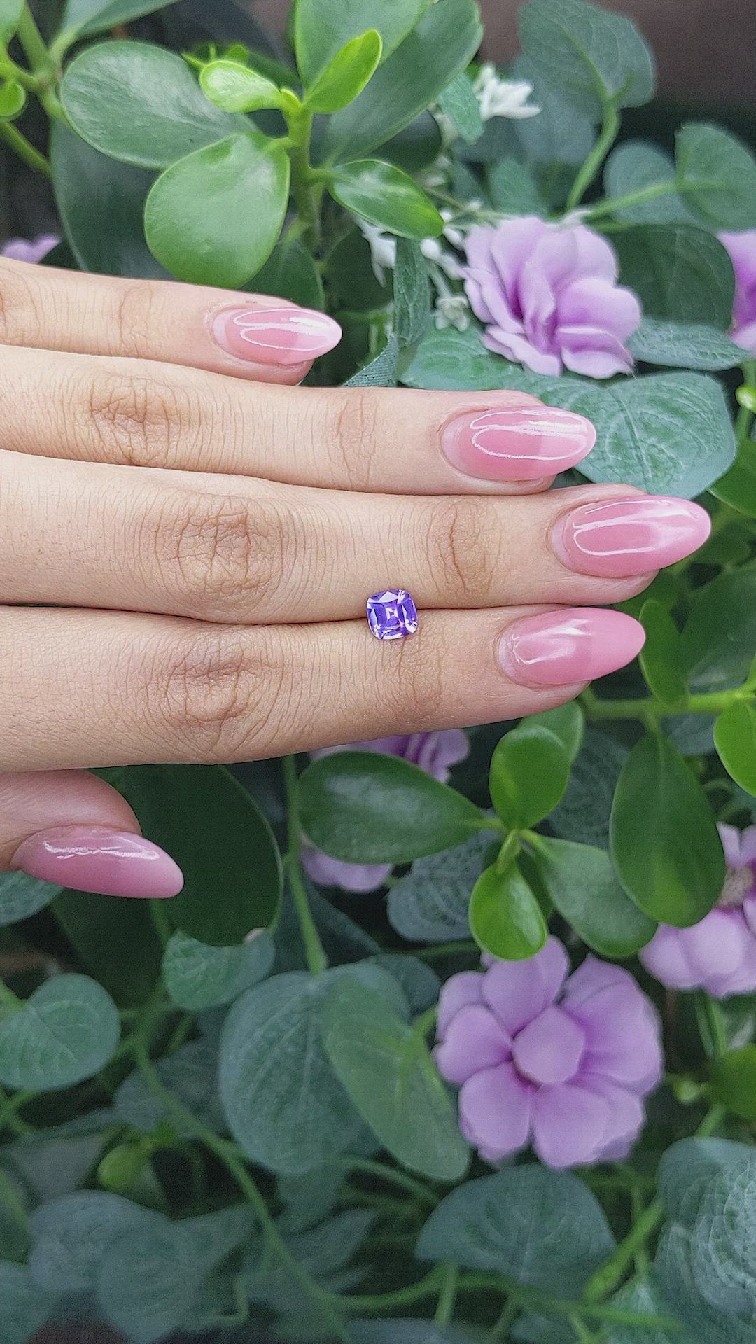 1.04 Ct. Purple Sapphire from Ceylon (Sri Lanka) Size Video