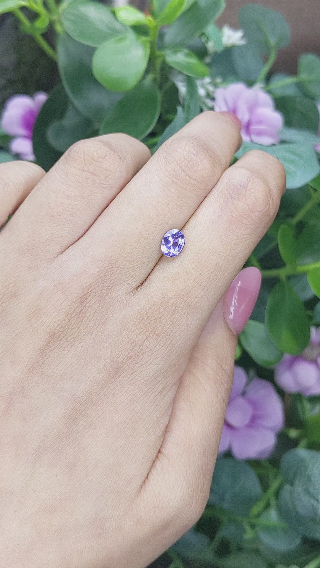 1.16 Ct. Violet Sapphire from Ceylon (Sri Lanka) Size Video