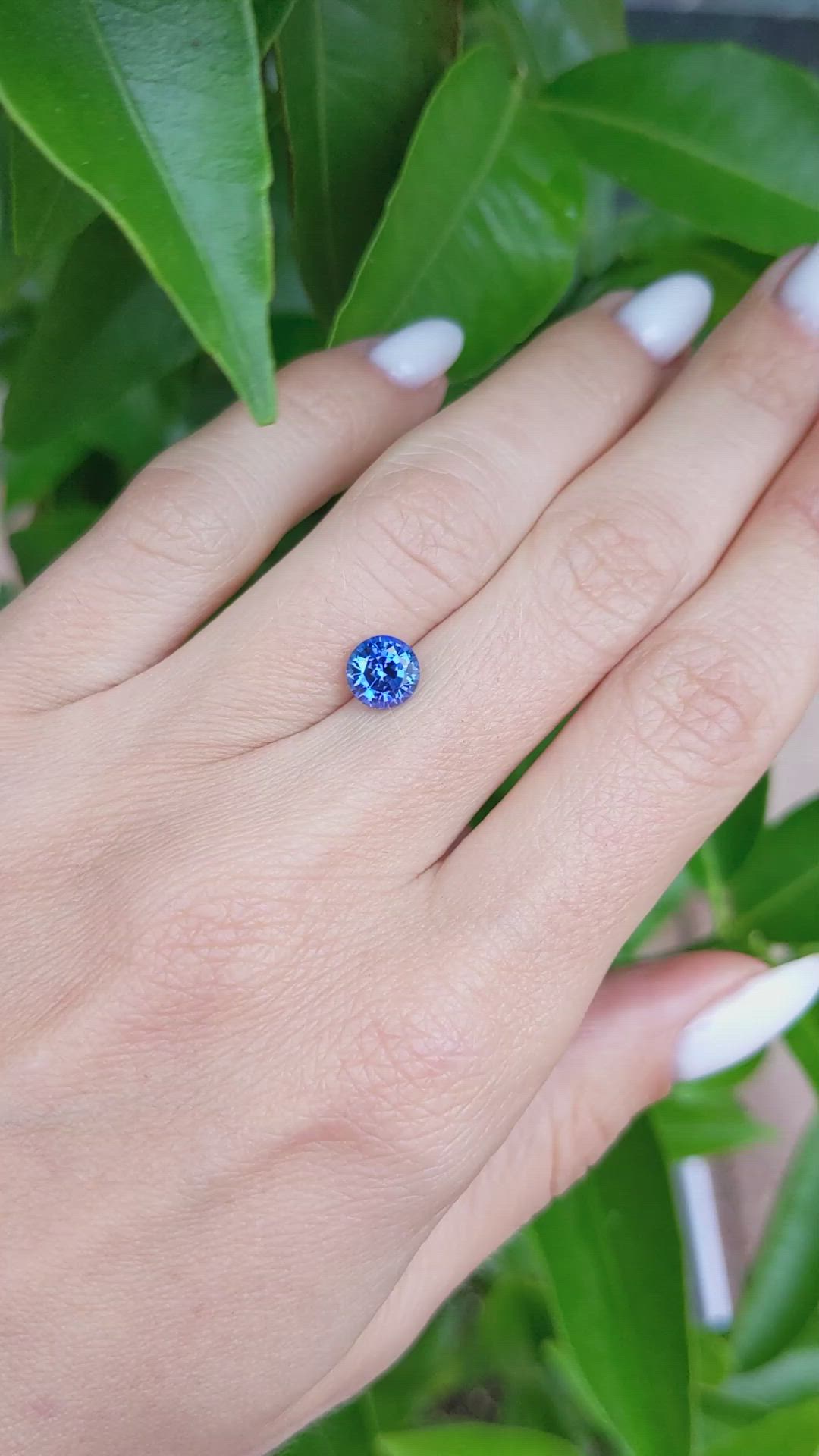 1.47 Ct. Blue Sapphire from Ceylon (Sri Lanka) Size Video