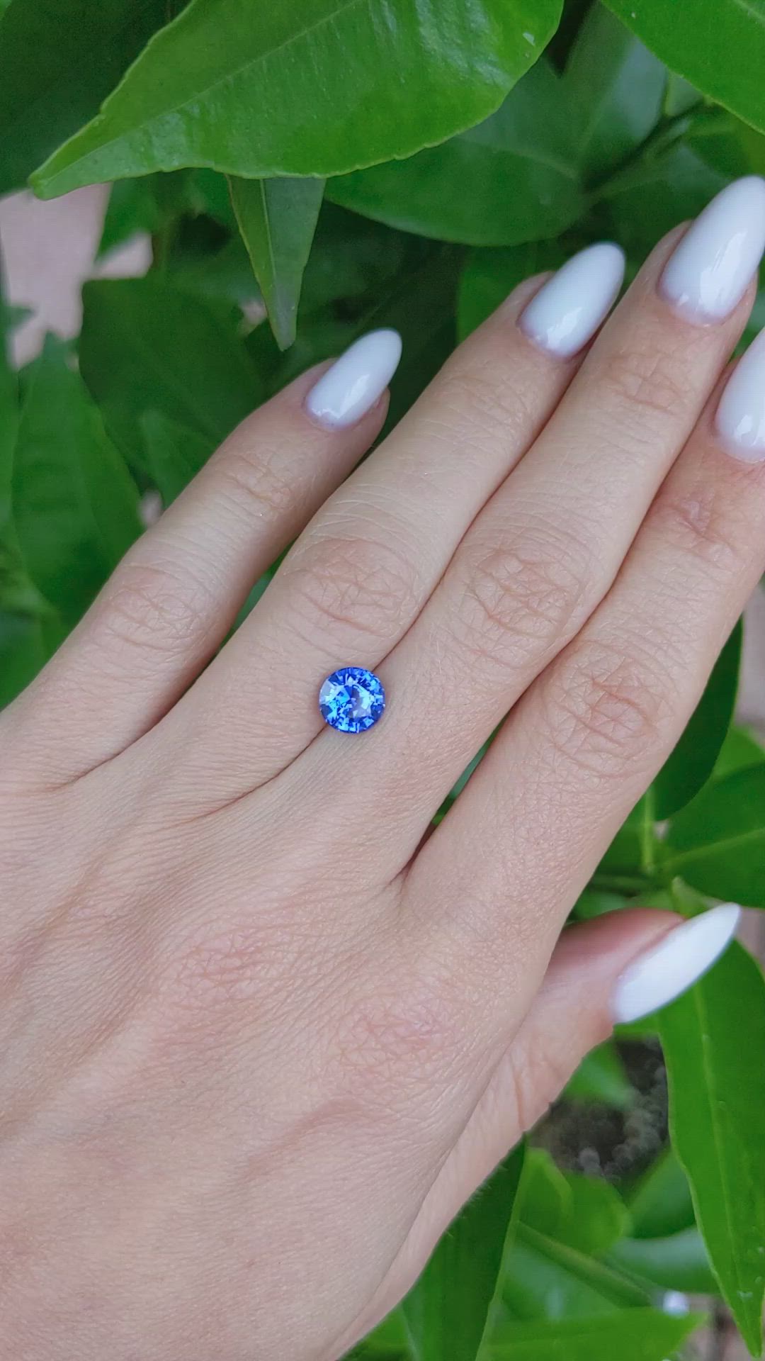 1.55 Ct. Blue Sapphire from Ceylon (Sri Lanka) Size Video