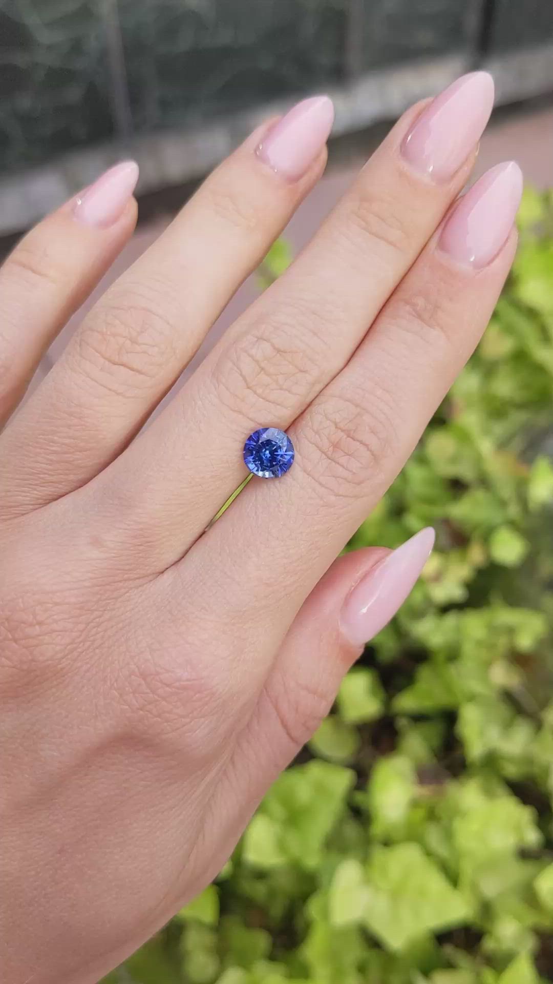 1.73 Ct. Blue Sapphire from Ceylon (Sri Lanka) Size Video