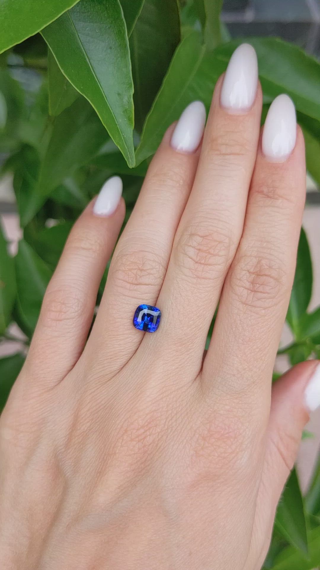 1.59 Ct. Blue Sapphire from Ceylon (Sri Lanka) Size Video