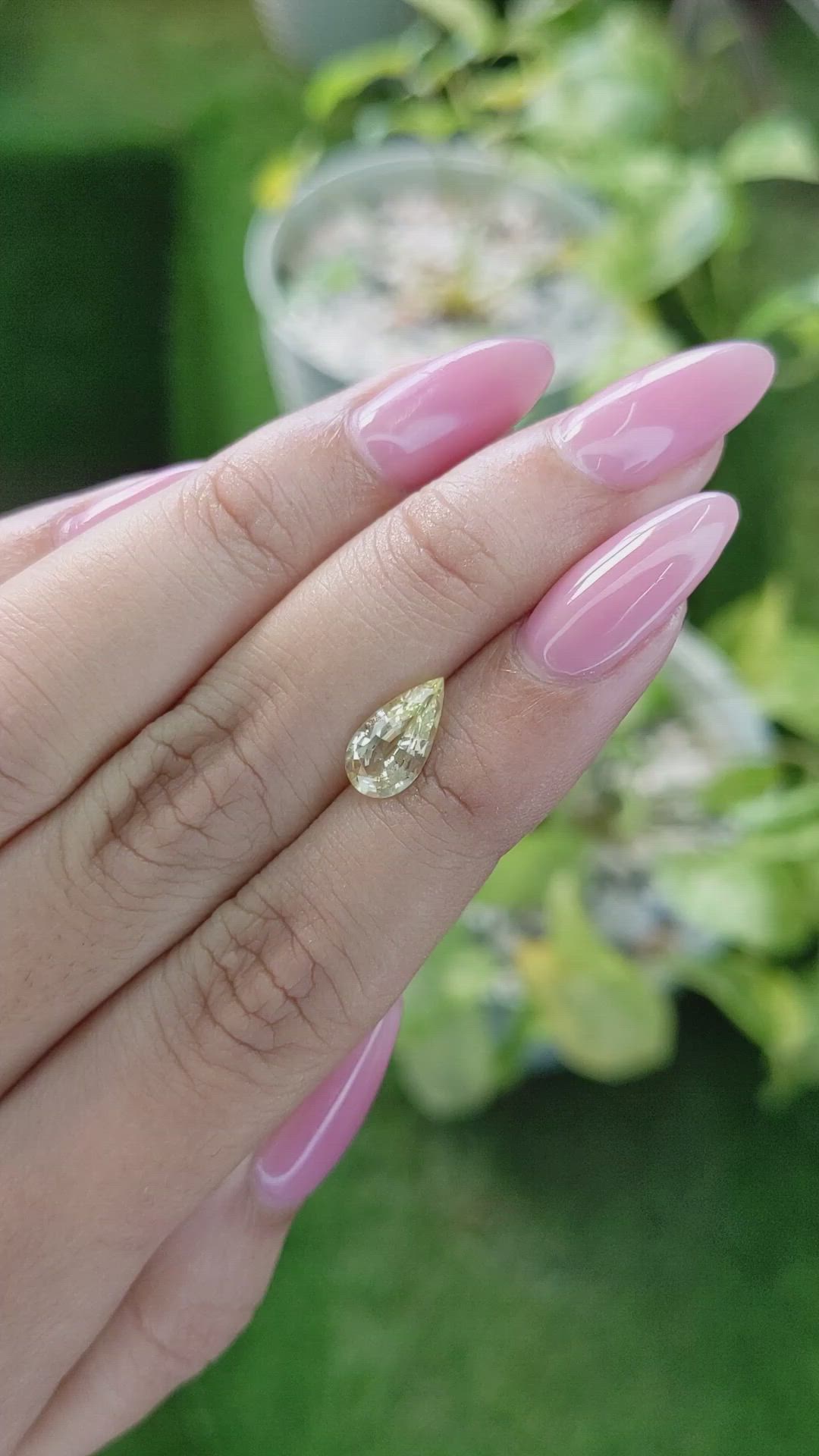 1.55 Ct. Yellow Sapphire from Ceylon (Sri Lanka) Size Video