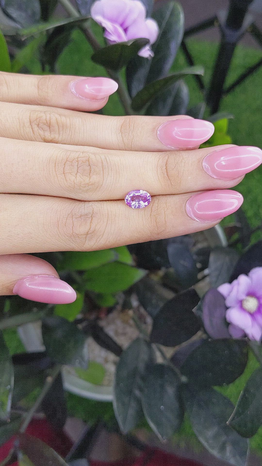 1.61 Ct. Purplish Pink Sapphire from Madagascar Size Video