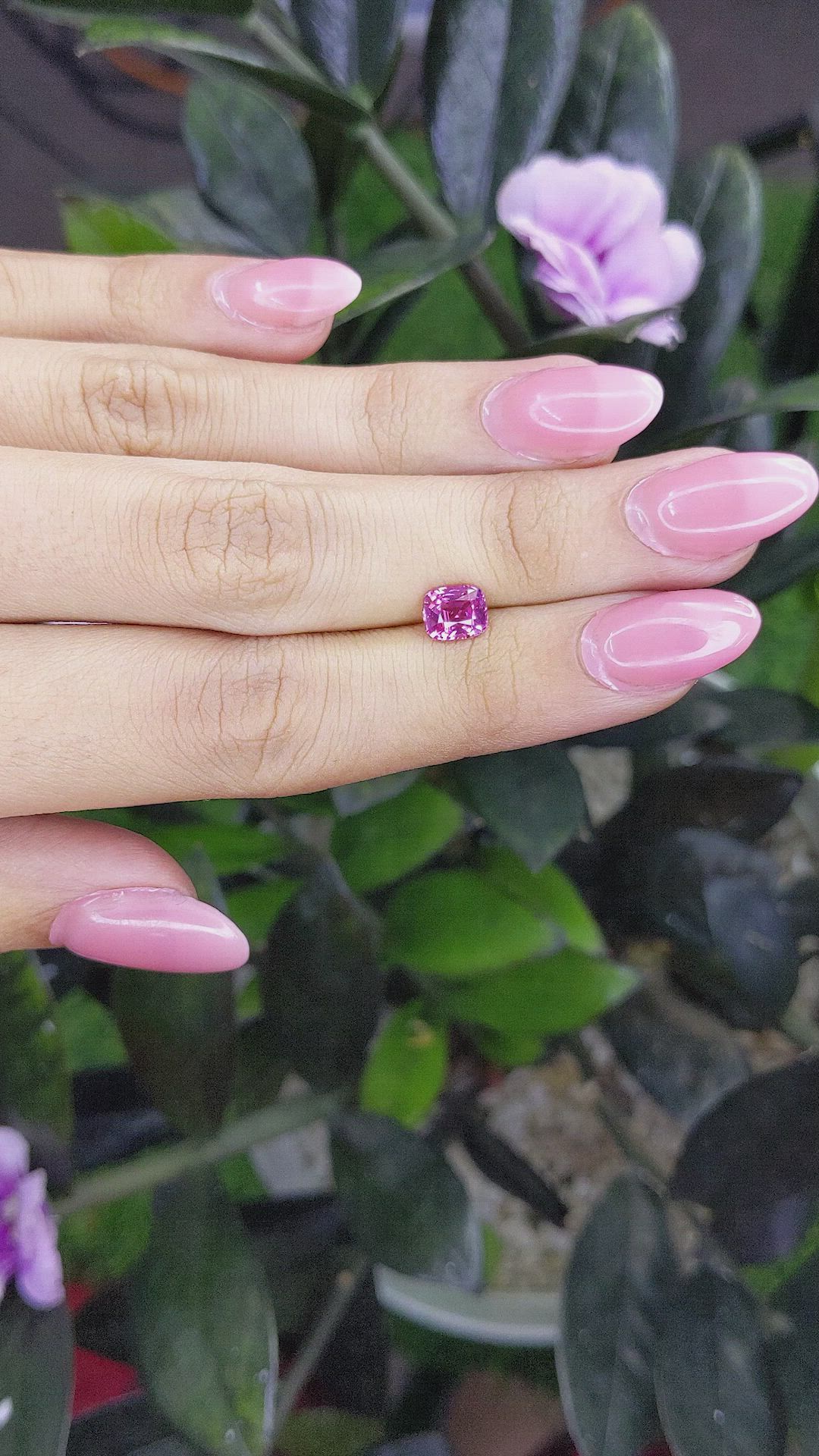 1.56 Ct. Purplish Pink Sapphire from Madagascar Size Video