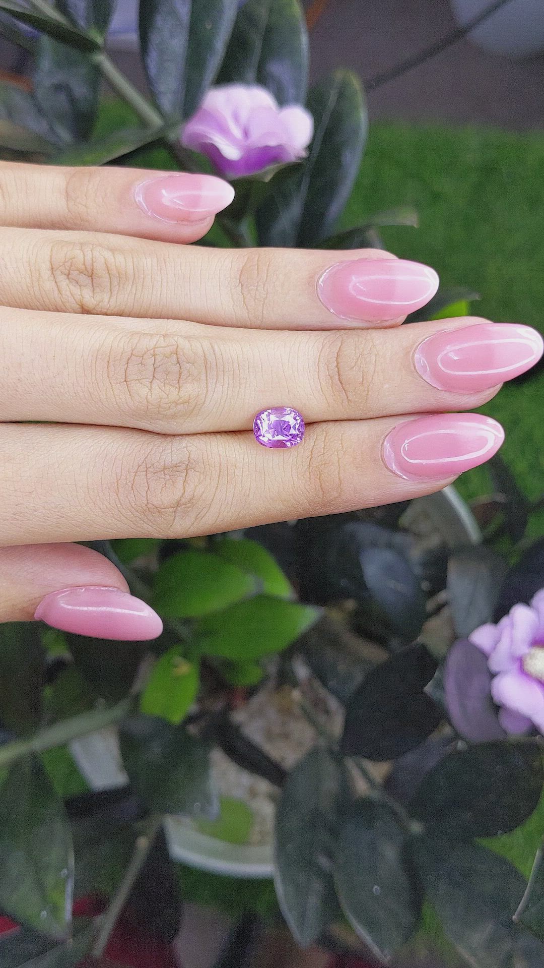 2.93 Ct. Purple Sapphire from Ceylon (Sri Lanka) Size Video