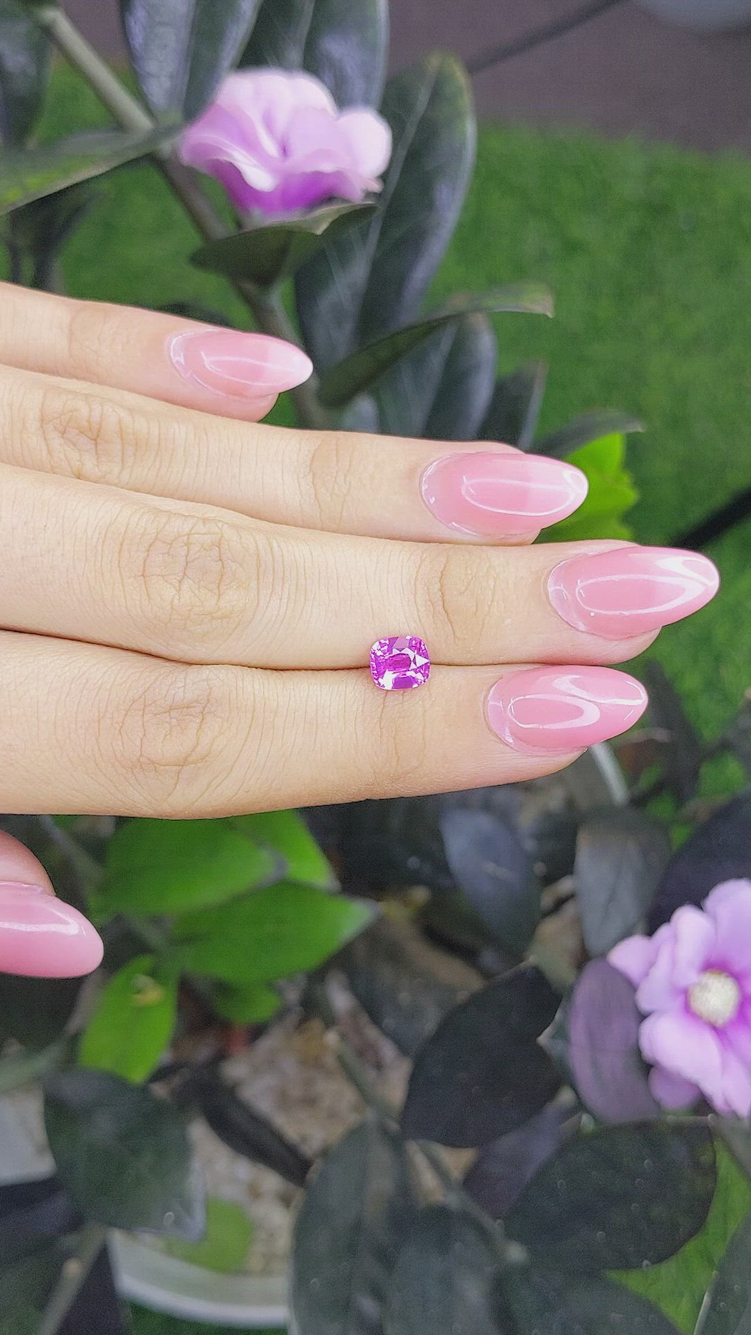 1.29 Ct. Purplish Pink Sapphire from Ceylon (Sri Lanka) Size Video