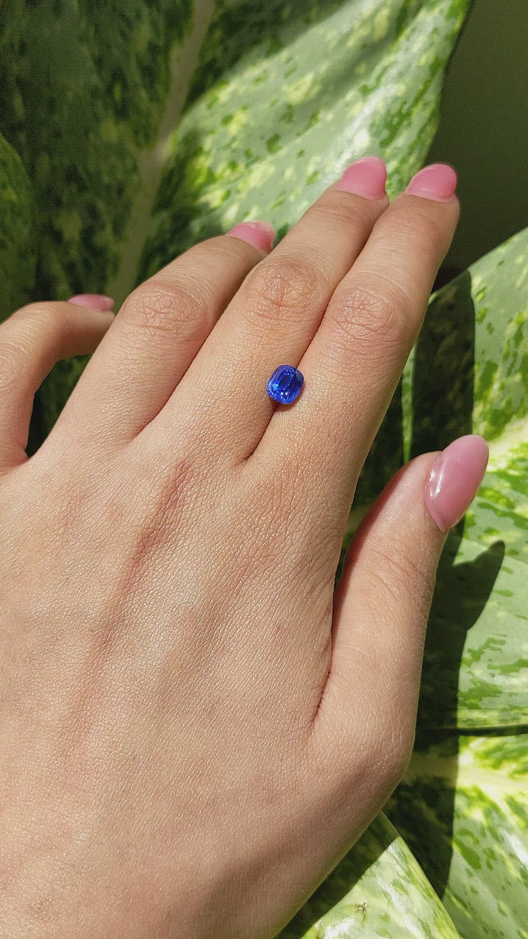 2.30 Ct. Blue Sapphire from Ceylon (Sri Lanka) Size Video