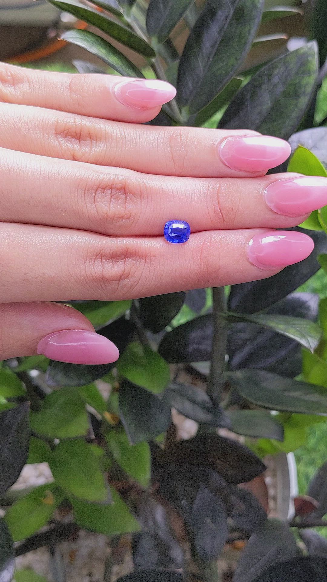 2.30 Ct. Blue Sapphire from Ceylon (Sri Lanka) Size Video