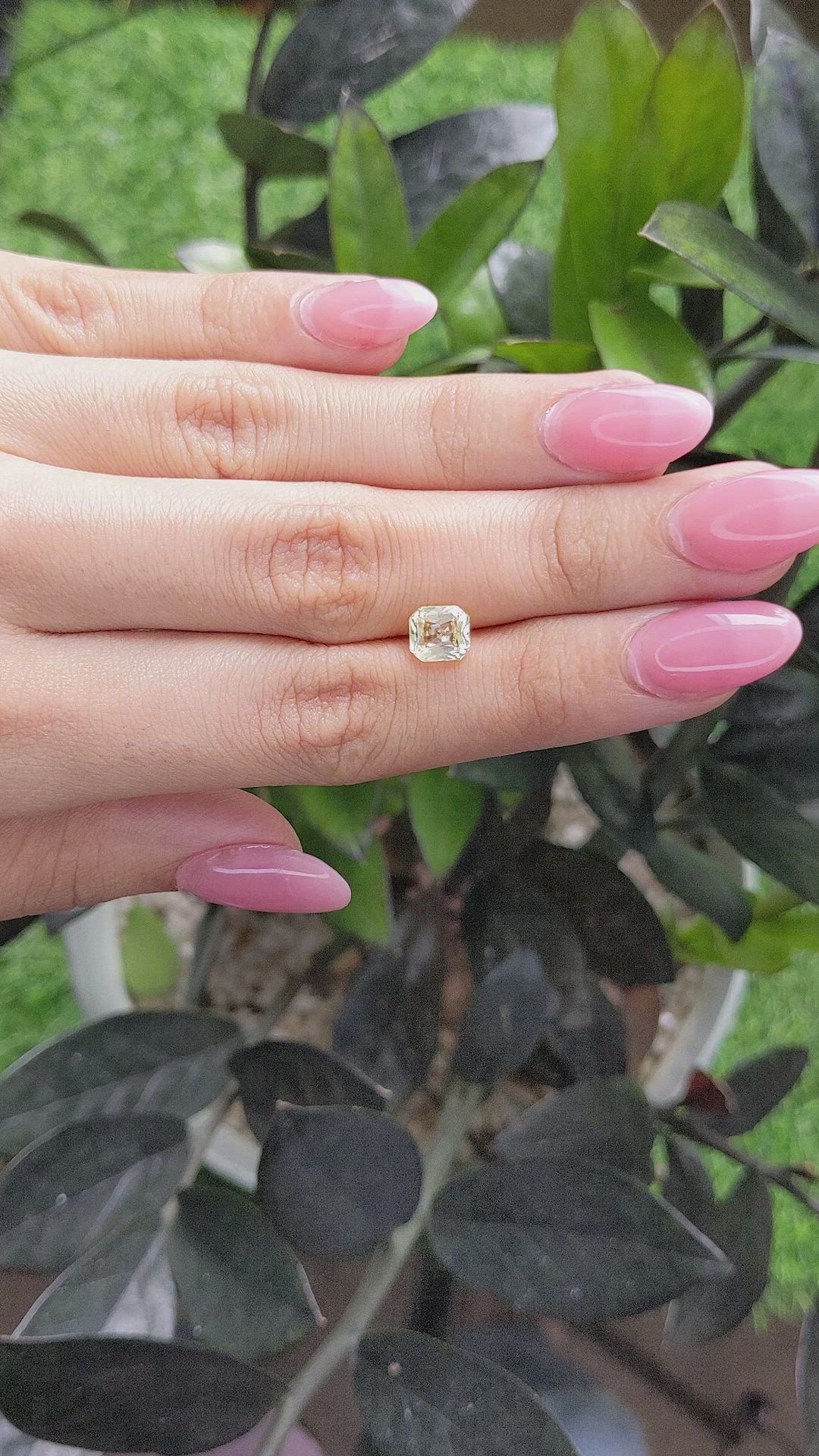 1.59 Ct. Yellow Sapphire from Ceylon (Sri Lanka) Size Video