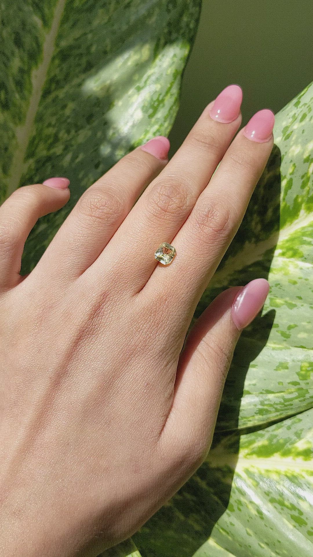 1.59 Ct. Yellow Sapphire from Ceylon (Sri Lanka) Size Video