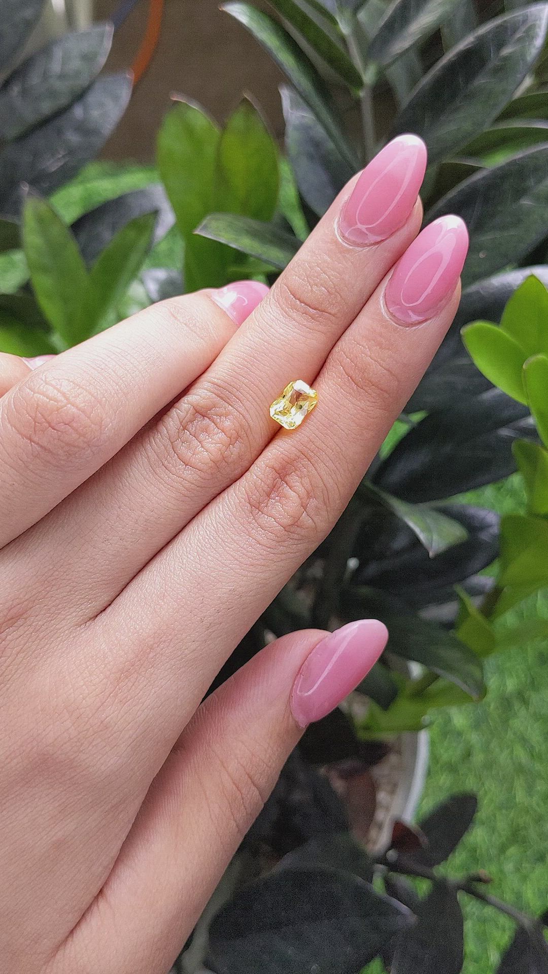 1.53 Ct. Yellow Sapphire from Ceylon (Sri Lanka) Size Video