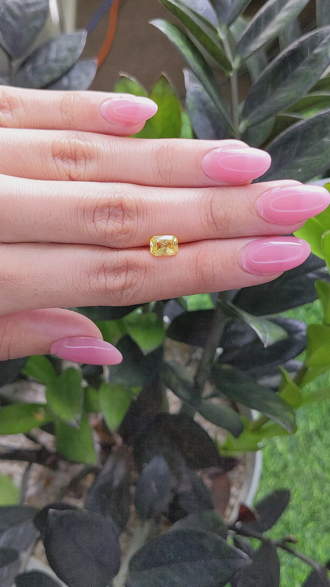 1.53 Ct. Yellow Sapphire from Ceylon (Sri Lanka) Size Video