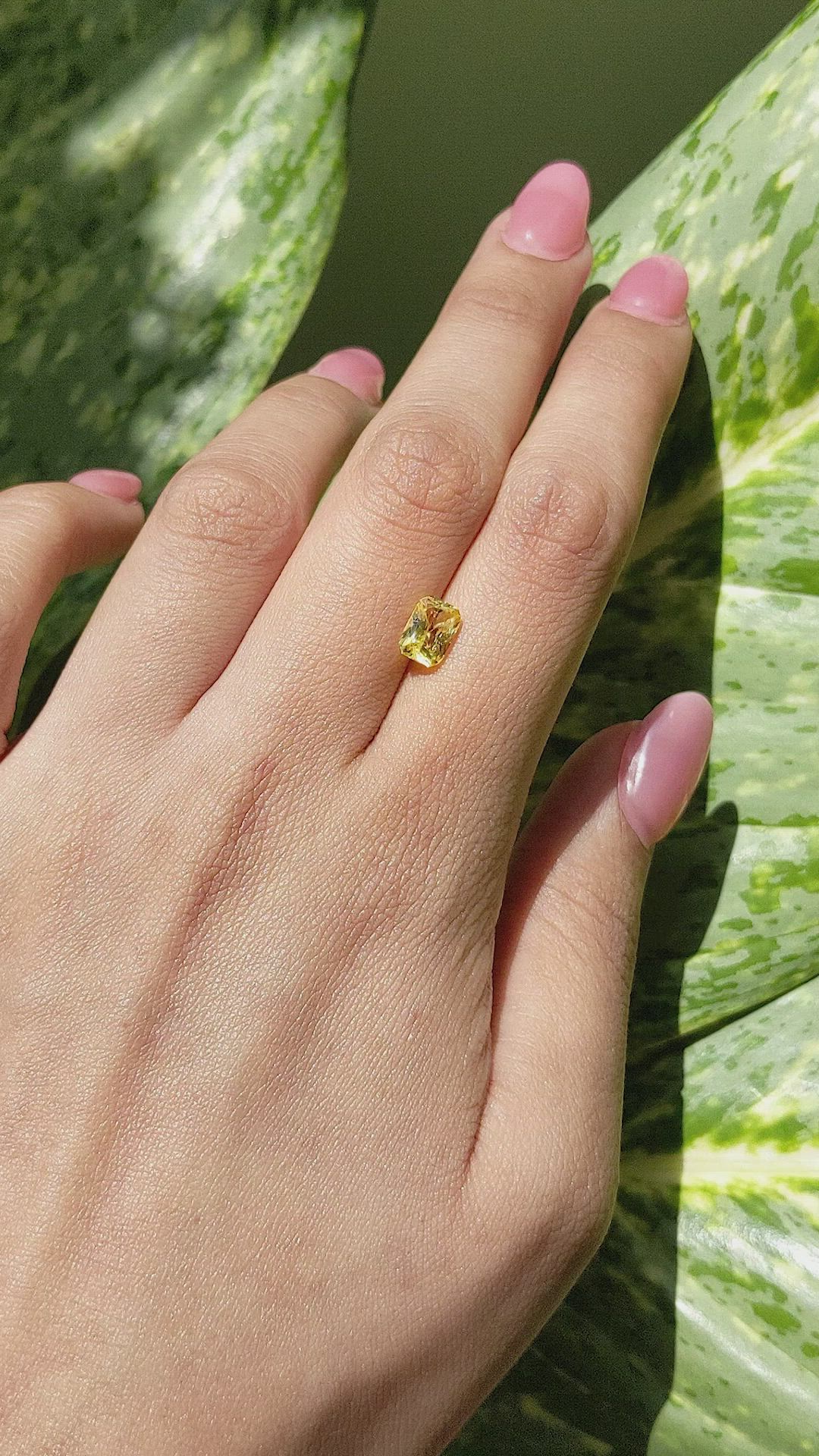 1.53 Ct. Yellow Sapphire from Ceylon (Sri Lanka) Size Video