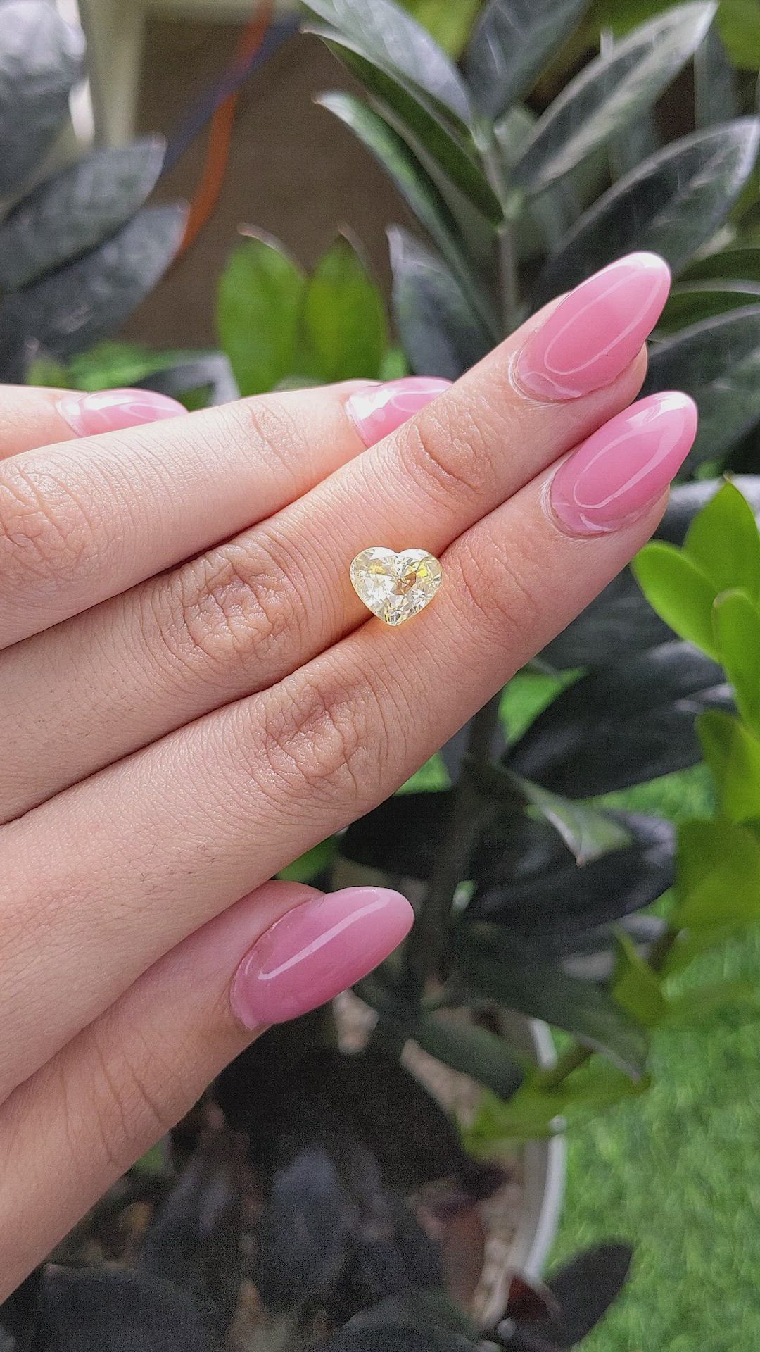 3.66 Ct. Yellow Sapphire from Ceylon (Sri Lanka) Size Video