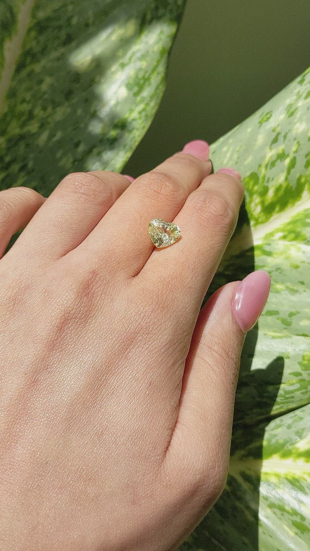 3.66 Ct. Yellow Sapphire from Ceylon (Sri Lanka) Size Video