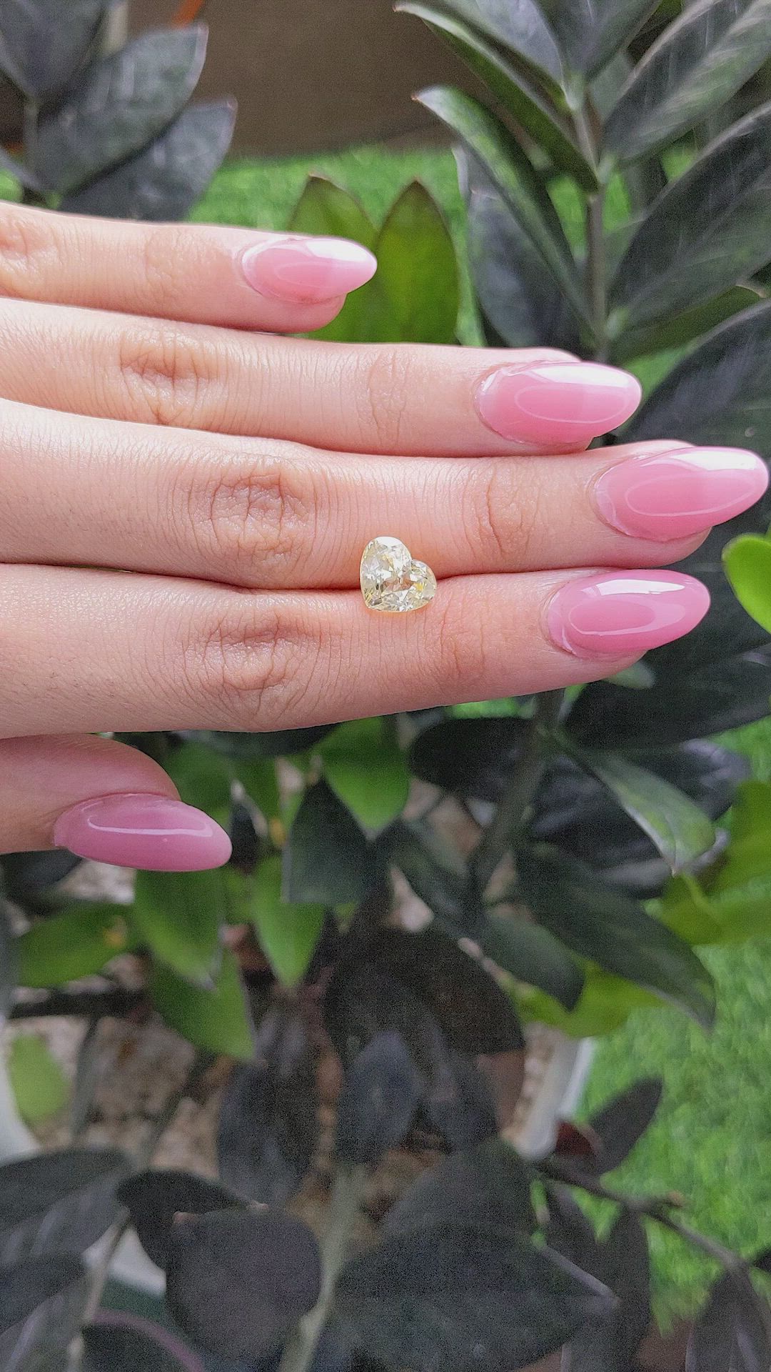 3.66 Ct. Yellow Sapphire from Ceylon (Sri Lanka) Size Video