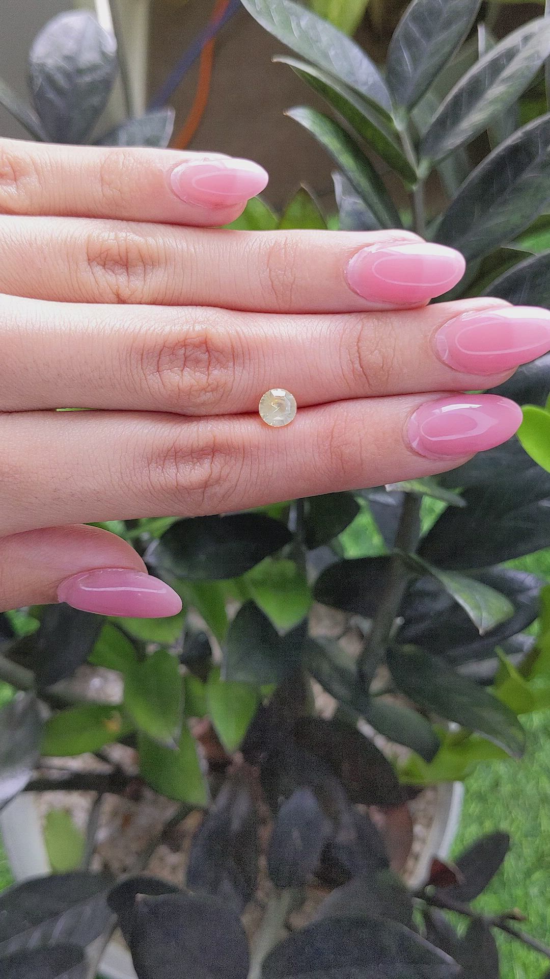 1.29 Ct. Yellow Sapphire from Ceylon (Sri Lanka) Size Video