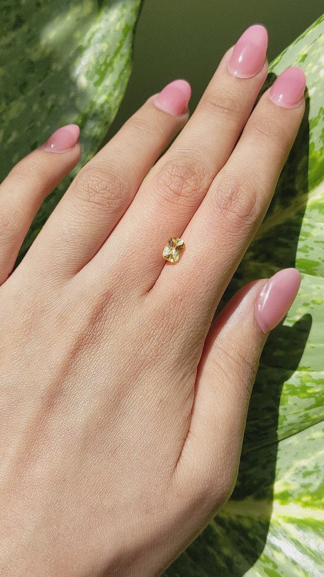 1.27 Ct. Yellow Sapphire from Ceylon (Sri Lanka) Size Video