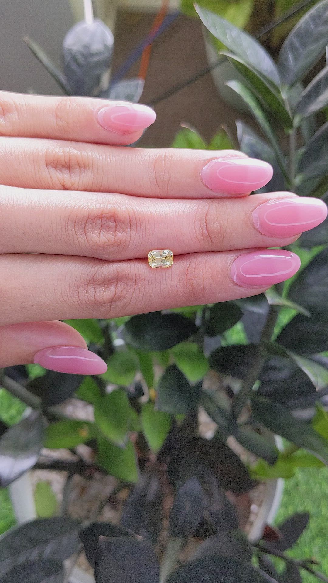 1.27 Ct. Yellow Sapphire from Ceylon (Sri Lanka) Size Video