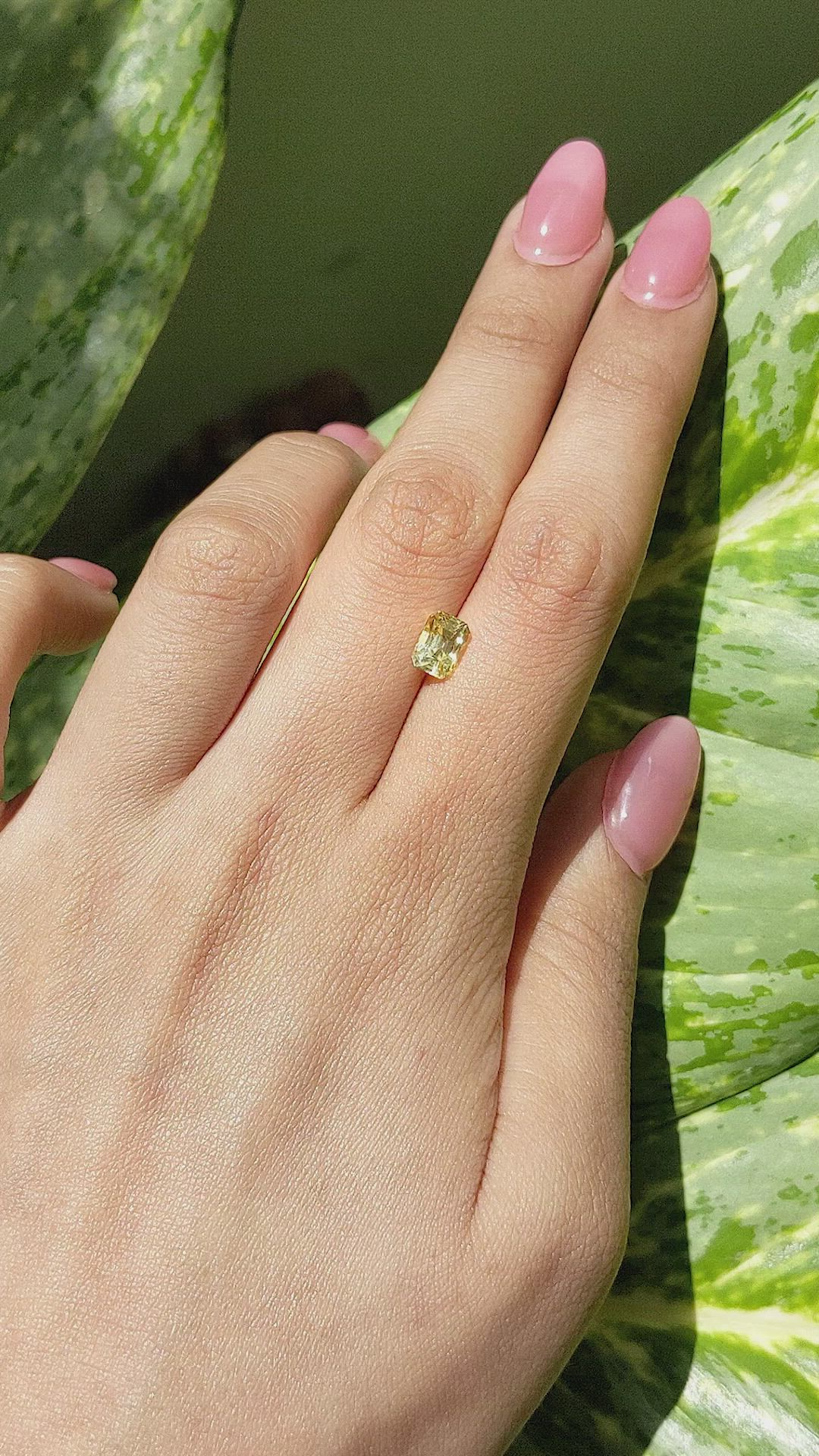 1.58 Ct. Yellow Sapphire from Ceylon (Sri Lanka) Size Video