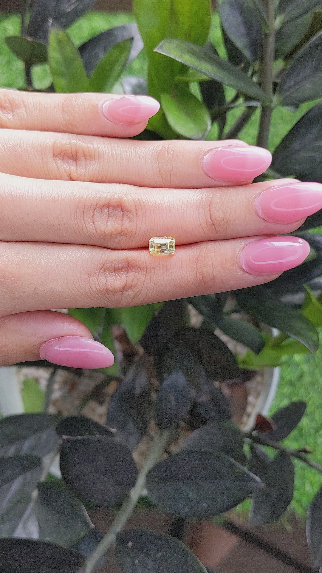 1.58 Ct. Yellow Sapphire from Ceylon (Sri Lanka) Size Video