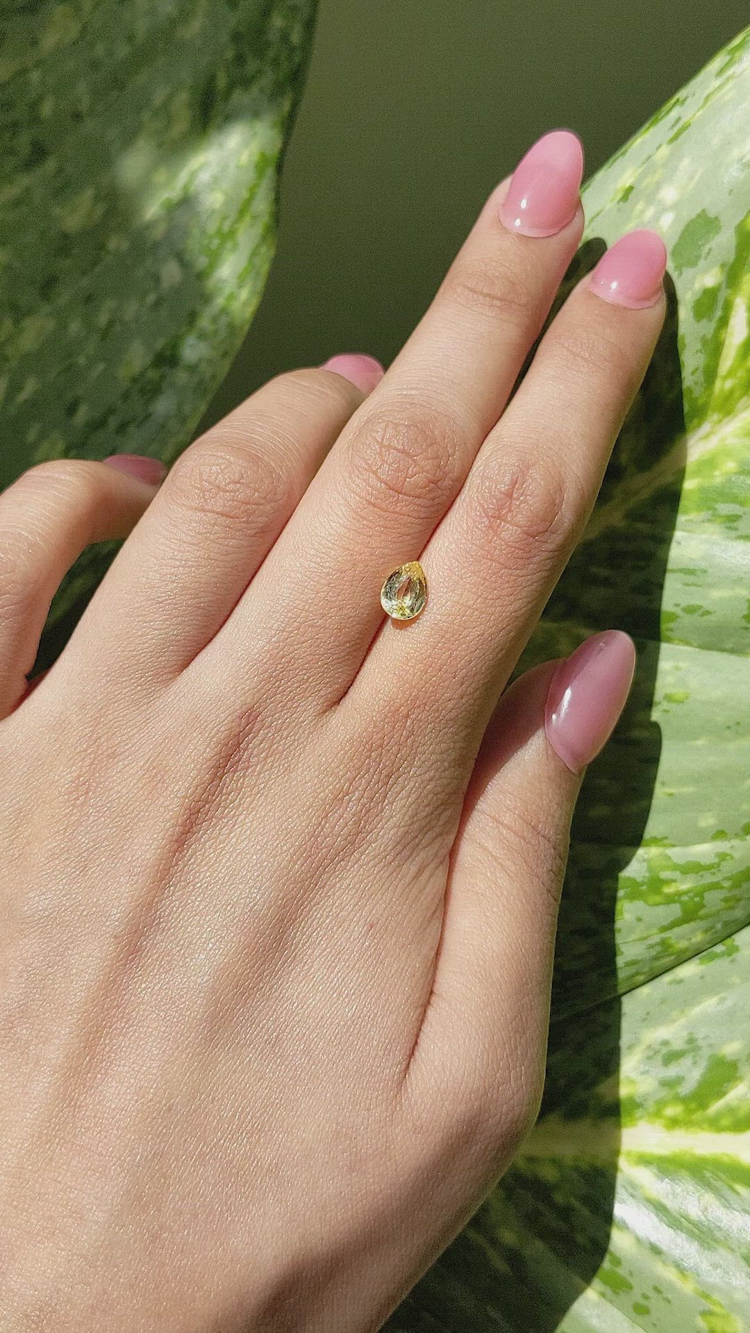 1.43 Ct. Yellow Sapphire from Ceylon (Sri Lanka) Size Video