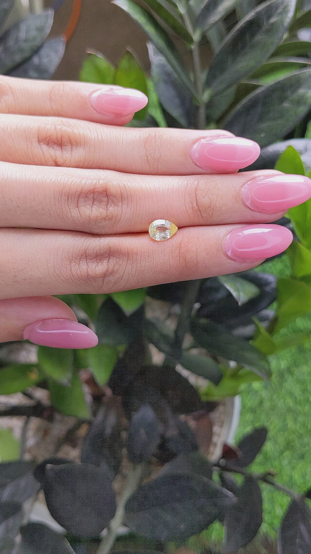 1.43 Ct. Yellow Sapphire from Ceylon (Sri Lanka) Size Video
