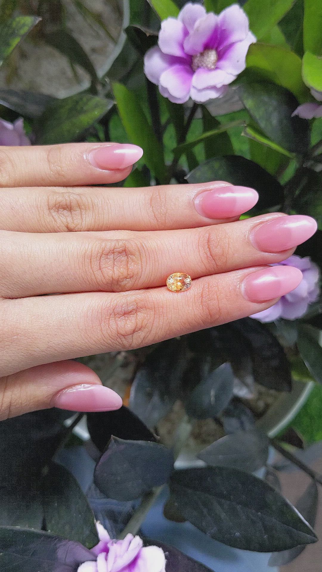 1.37 Ct. Peach Sapphire from Madagascar Size Video