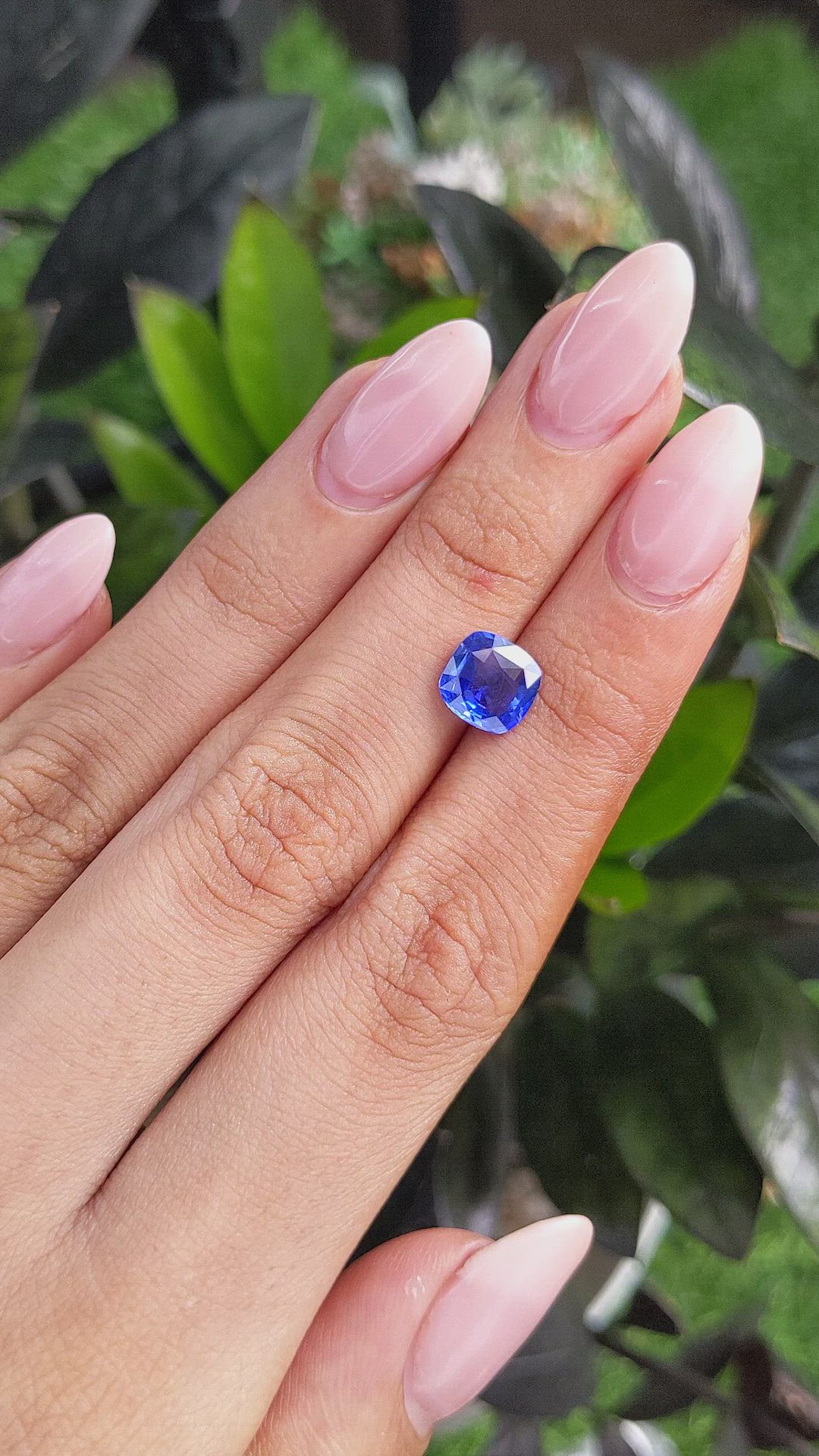 2.00 Ct. Blue Sapphire from Ceylon (Sri Lanka) Size Video