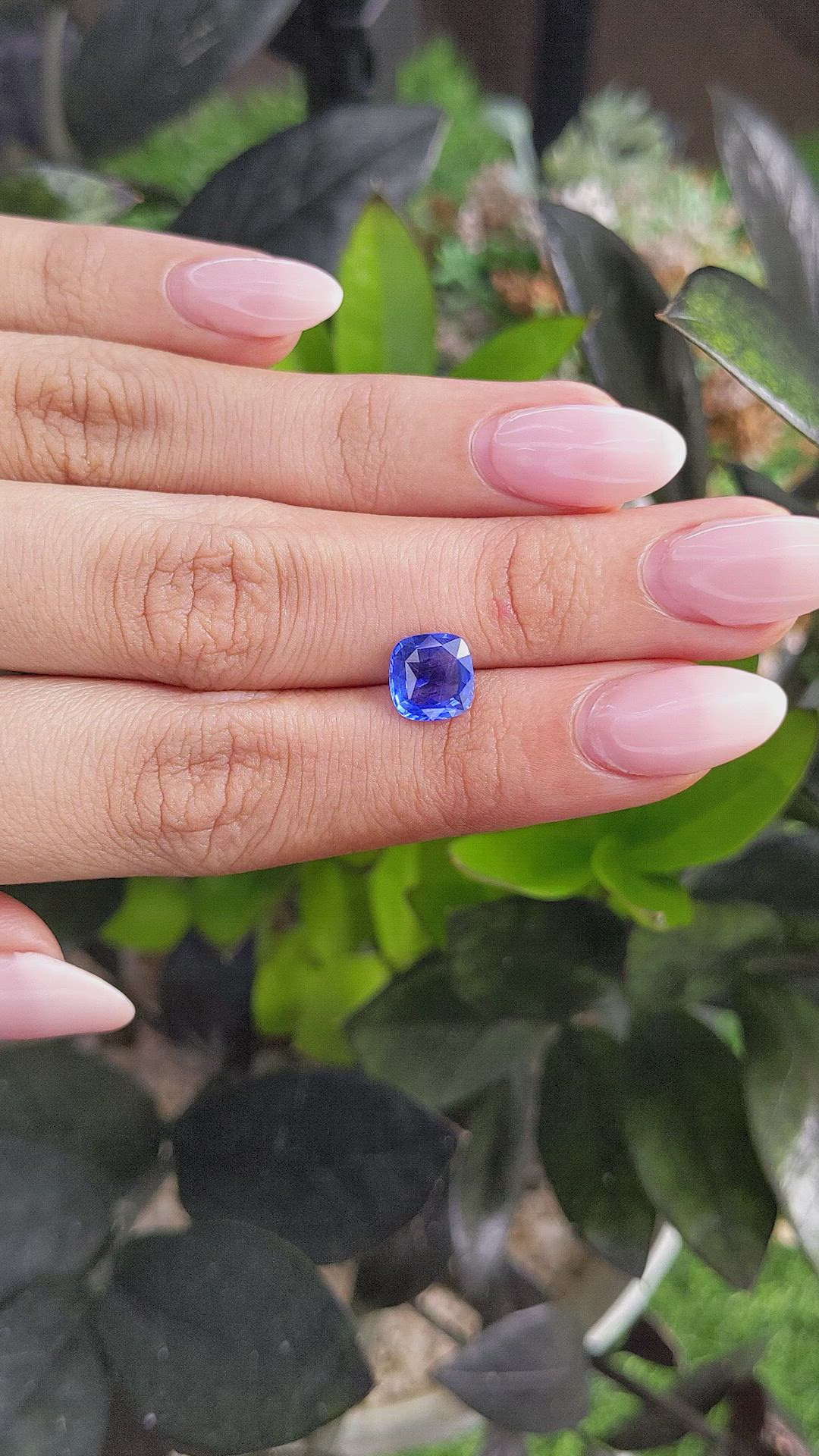 2.00 Ct. Blue Sapphire from Ceylon (Sri Lanka) Size Video