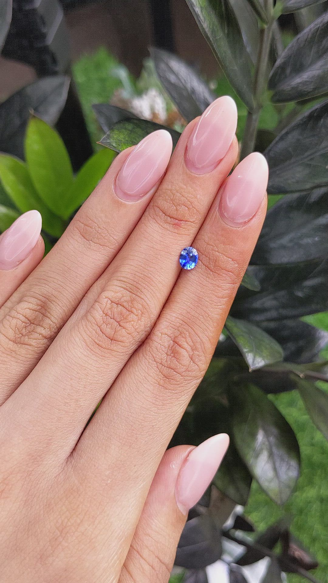 0.49 Ct. Blue Sapphire from Ceylon (Sri Lanka) Size Video