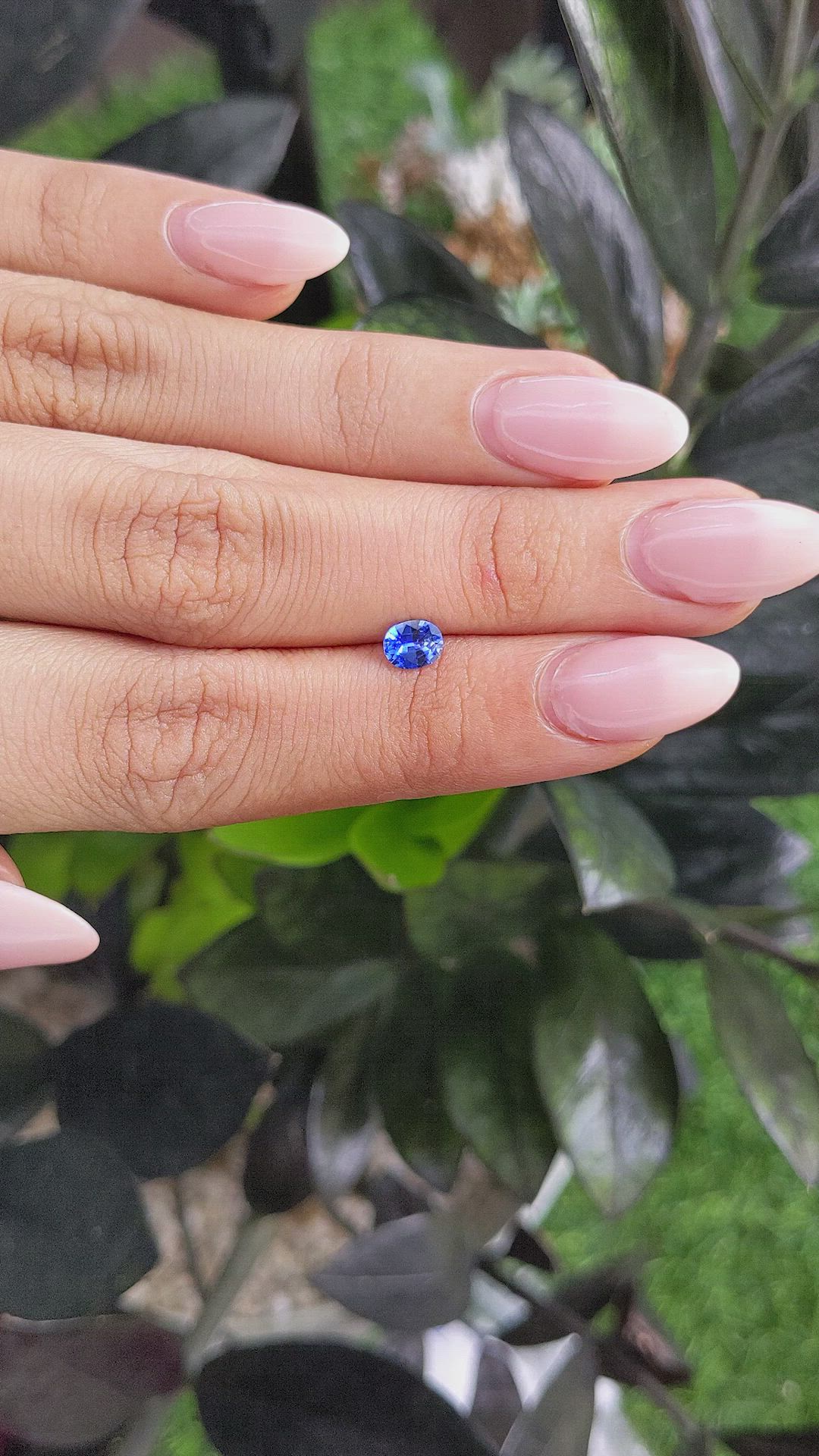 0.49 Ct. Blue Sapphire from Ceylon (Sri Lanka) Size Video