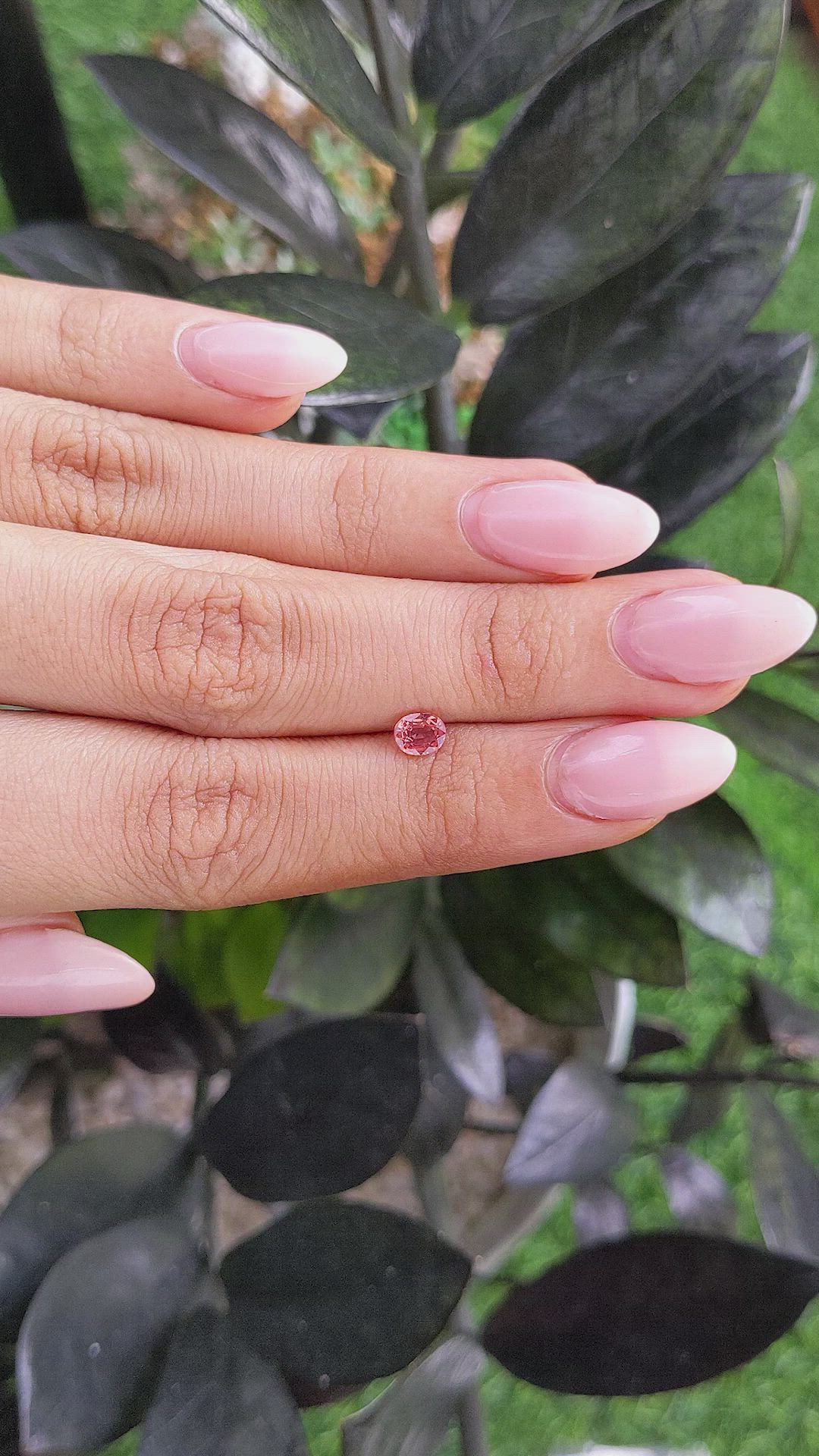 0.50 Ct. Orangish Brown Sapphire from Ceylon (Sri Lanka) Size Video