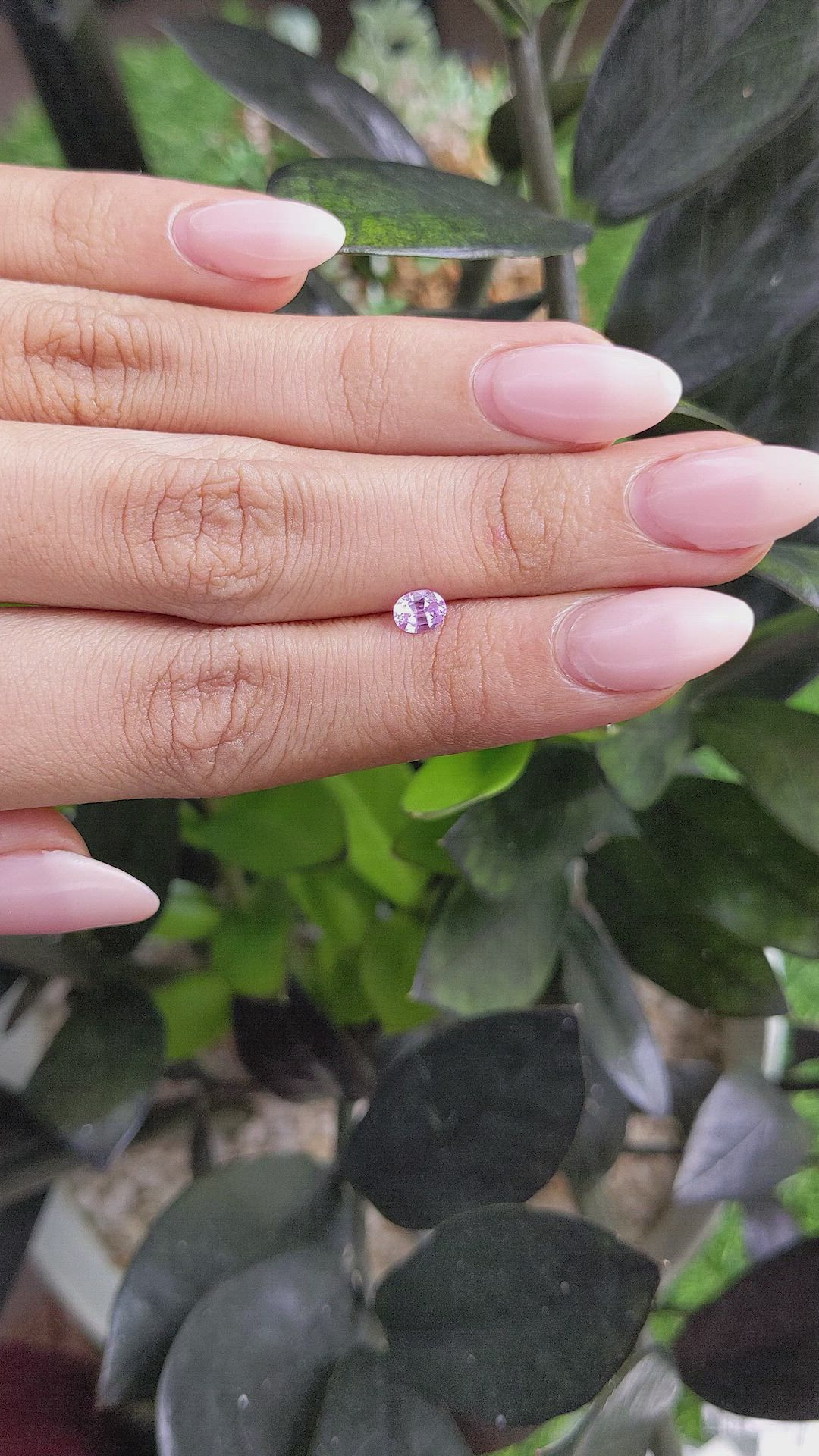 0.45 Ct. Pinkish Purple Sapphire from Ceylon (Sri Lanka) Size Video